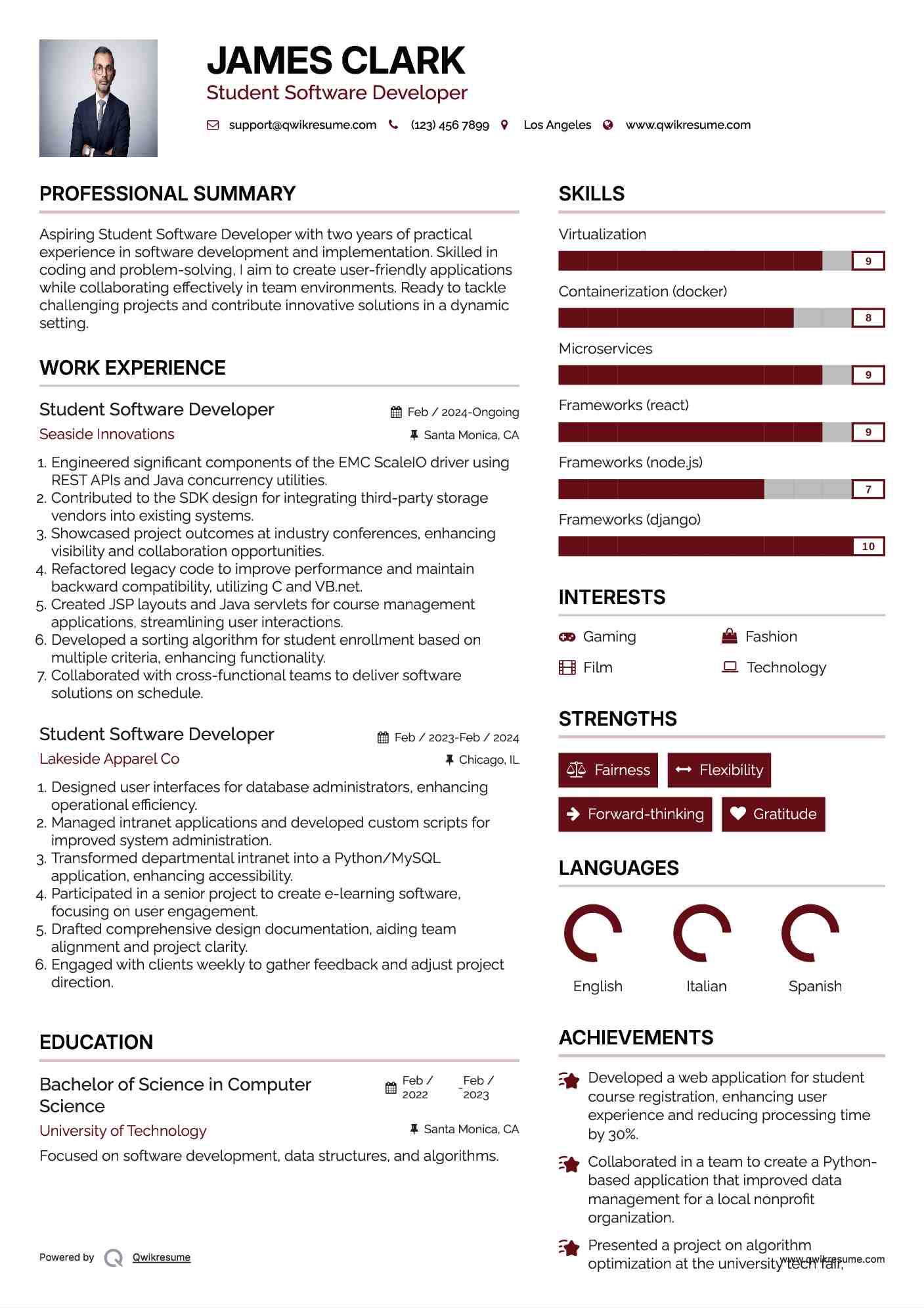 Student Software Developer Resume Template