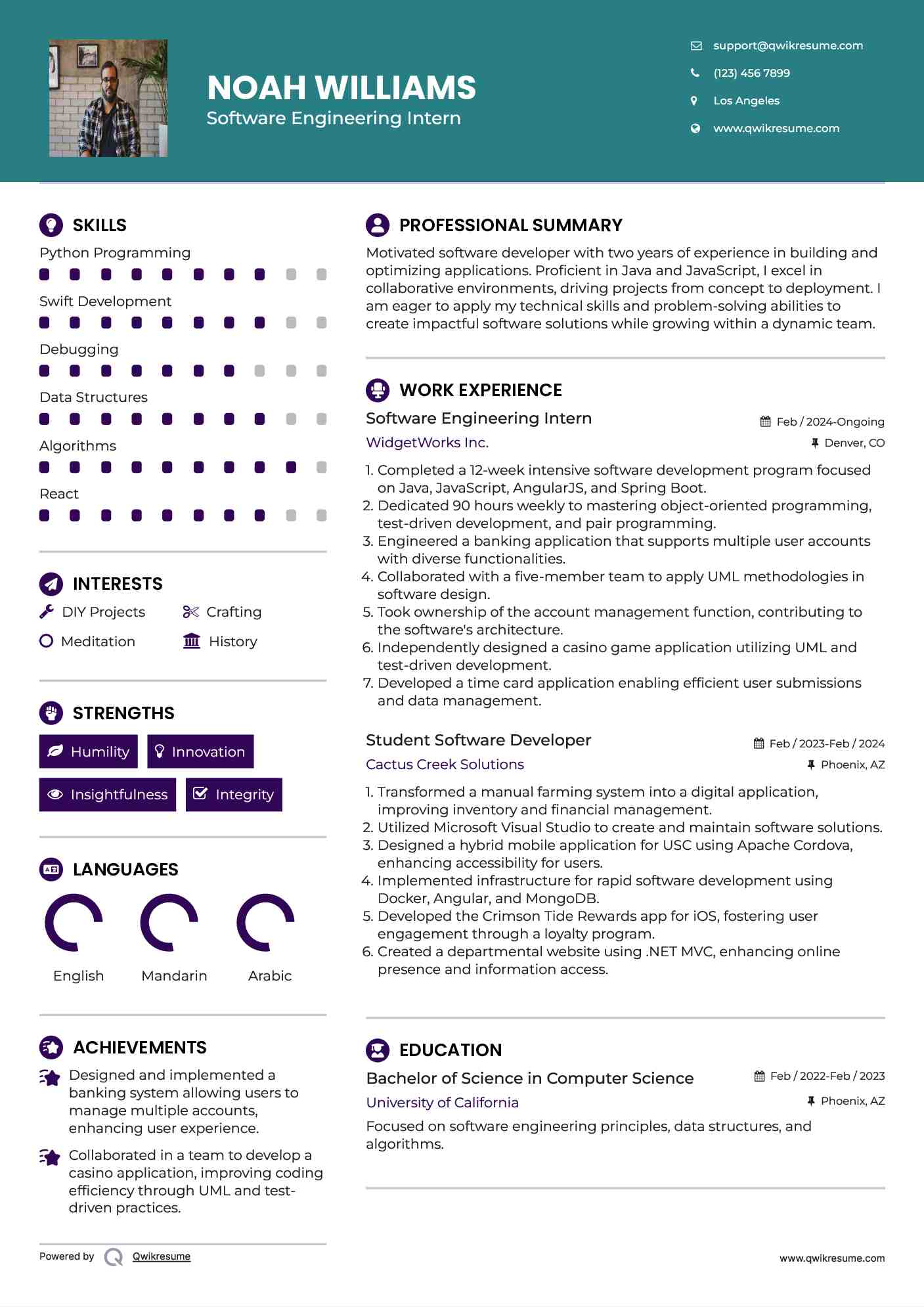Software Engineering Intern Resume Format