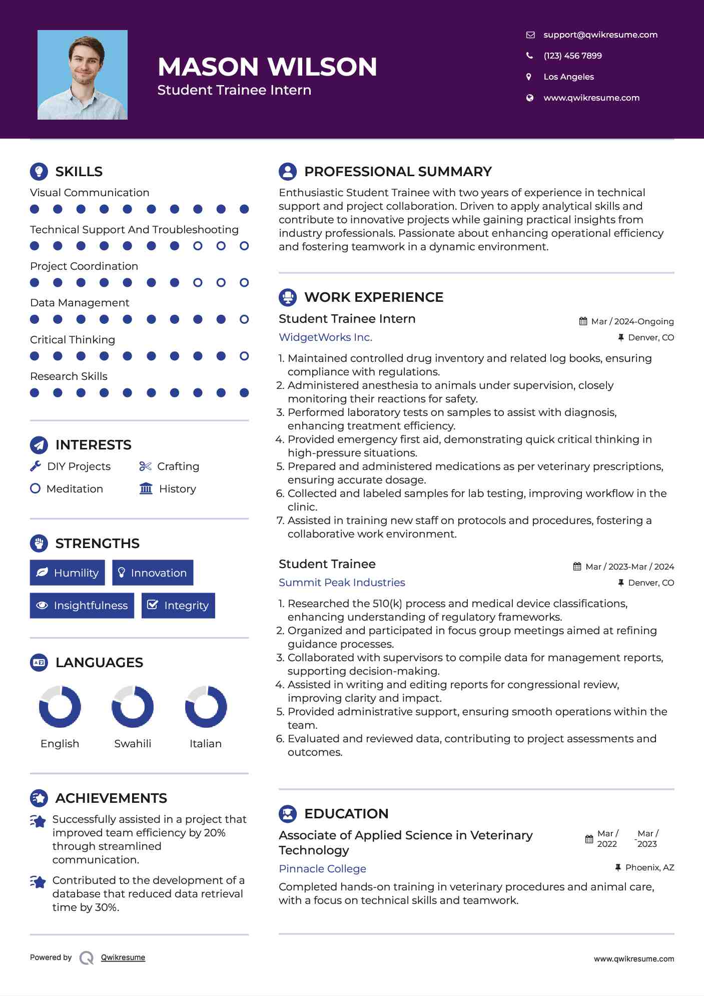 Student Trainee Intern Resume Example