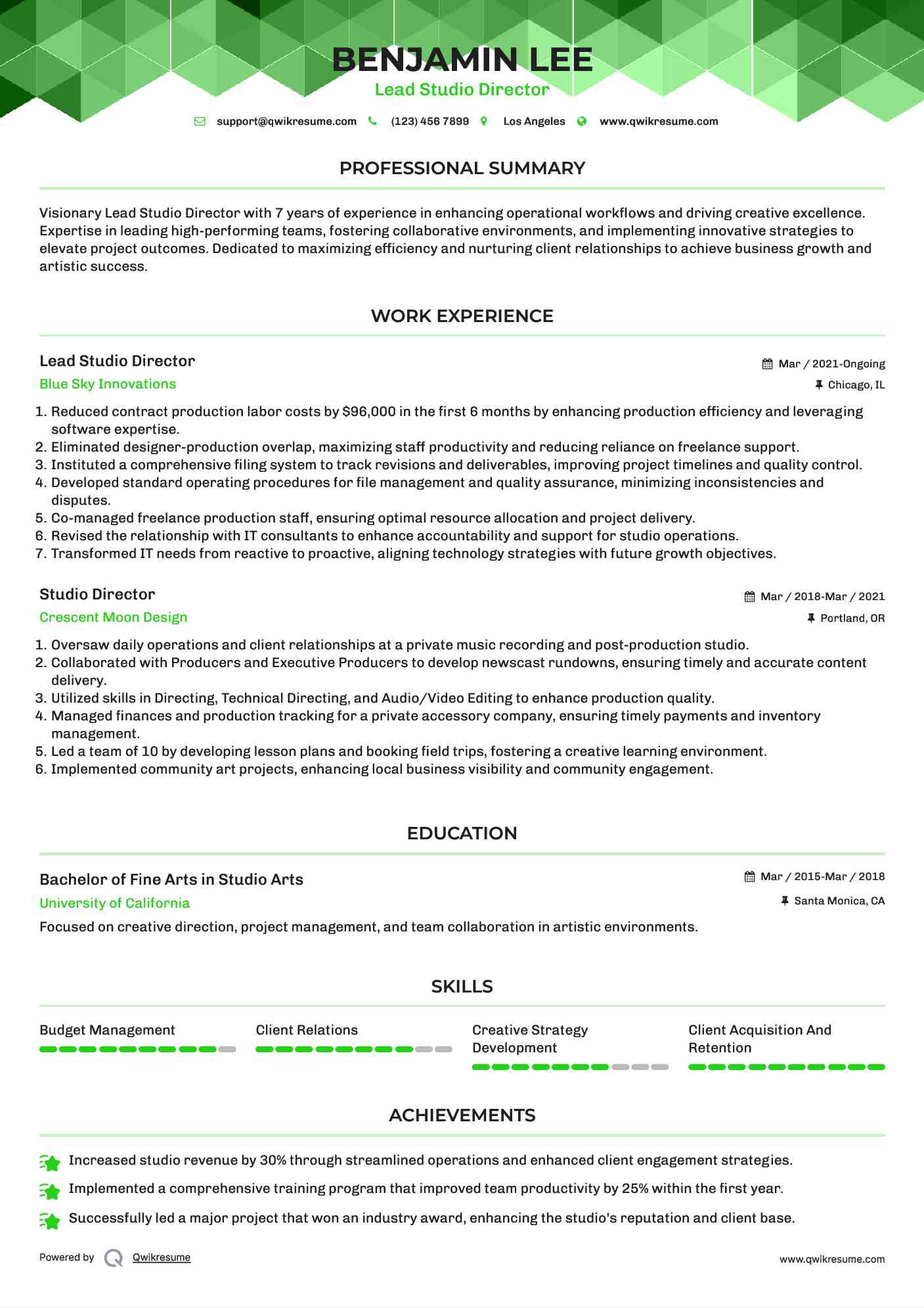 Lead Studio Director Resume Format