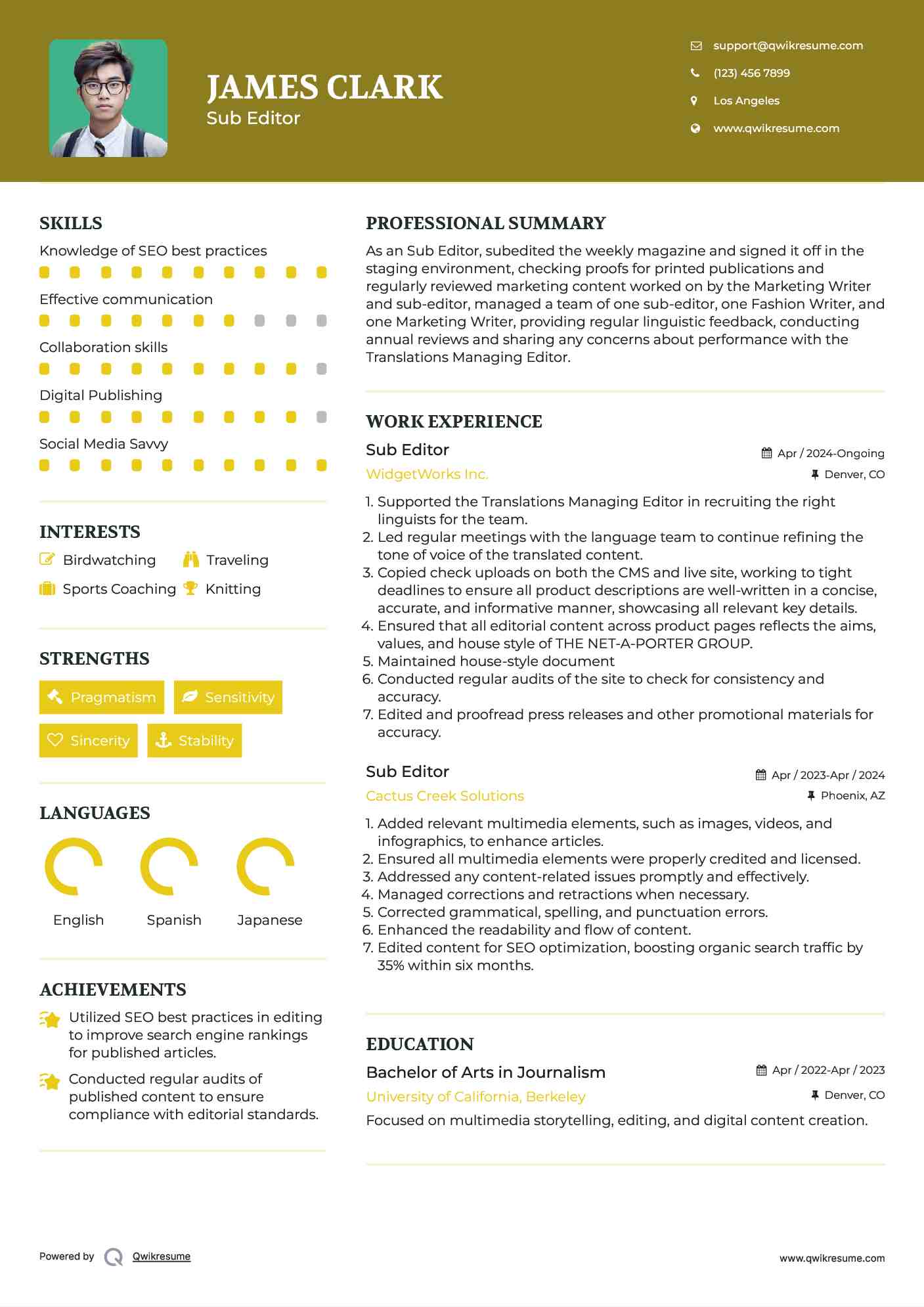 Sub Editor Resume Model