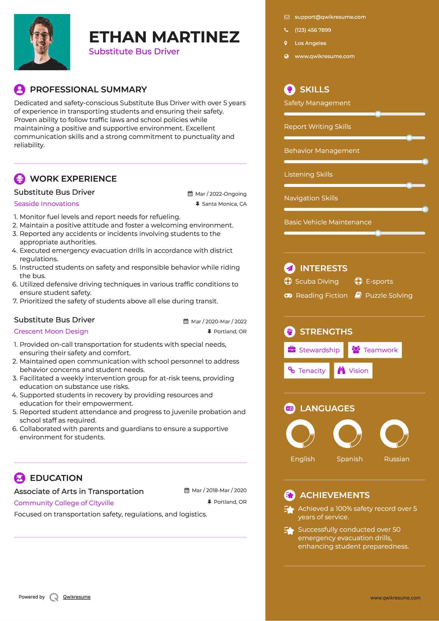 Substitute Bus Driver Resume Example