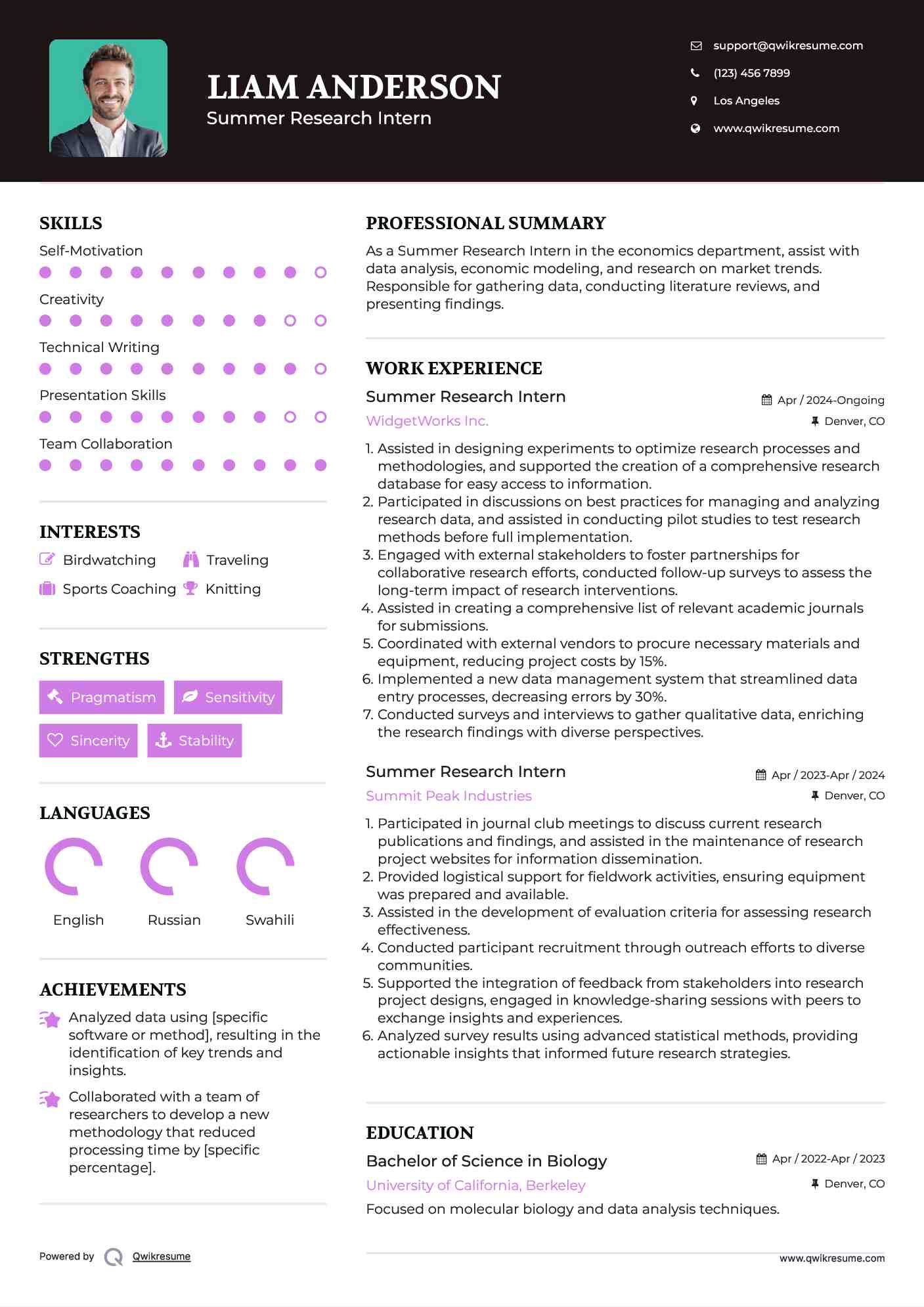Summer Research Intern Resume Template