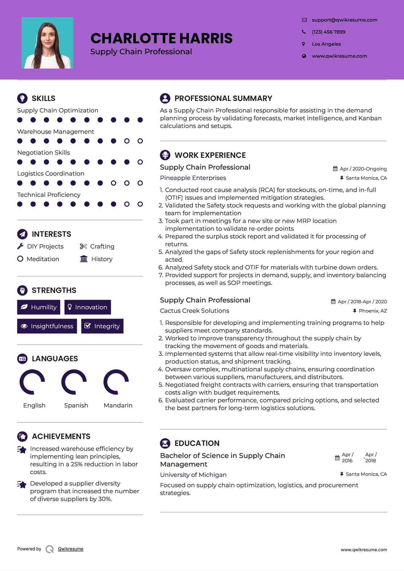 Supply Chain Professional Resume Sample