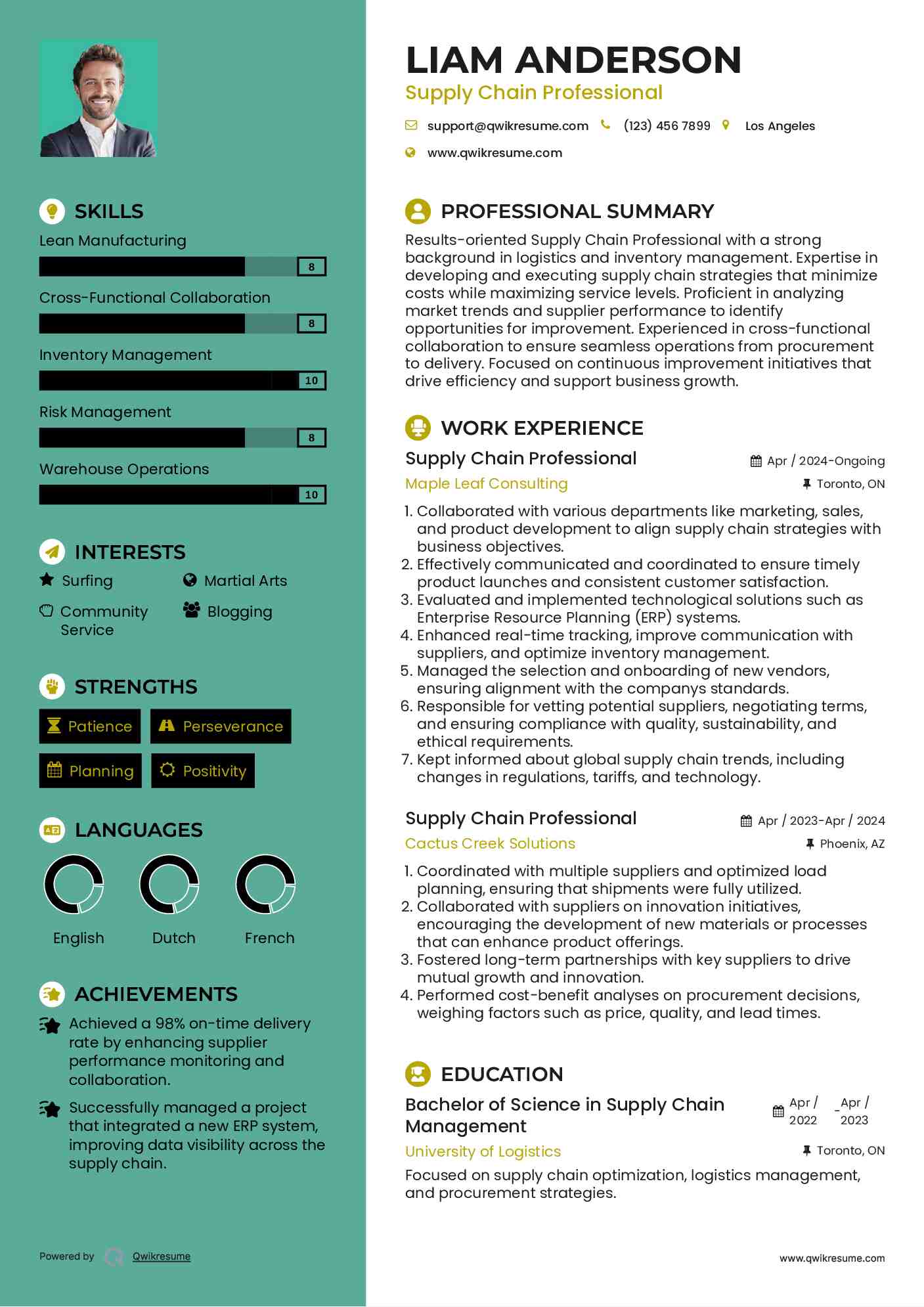 Supply Chain Professional Resume Example