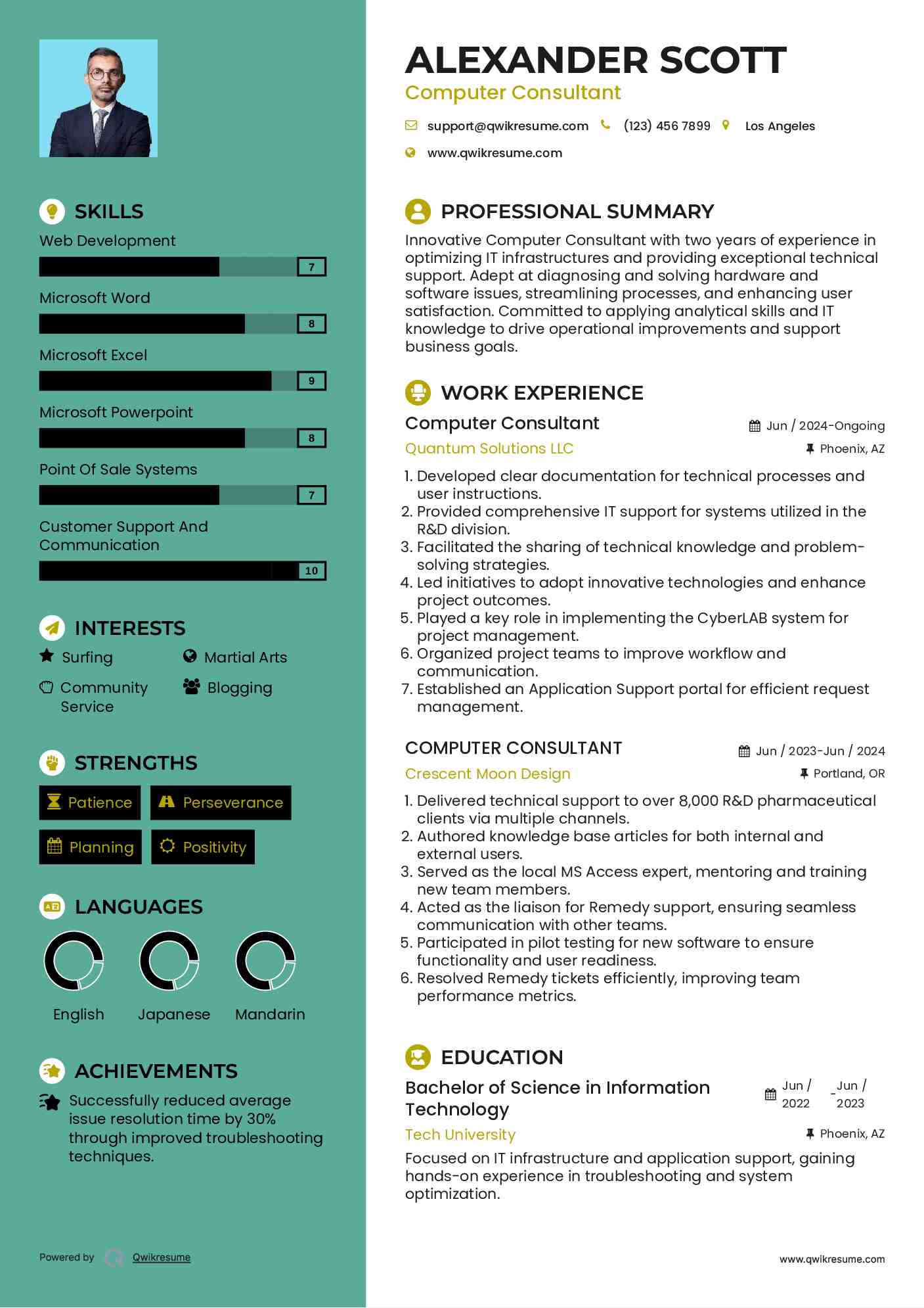 Computer Consultant Resume Sample