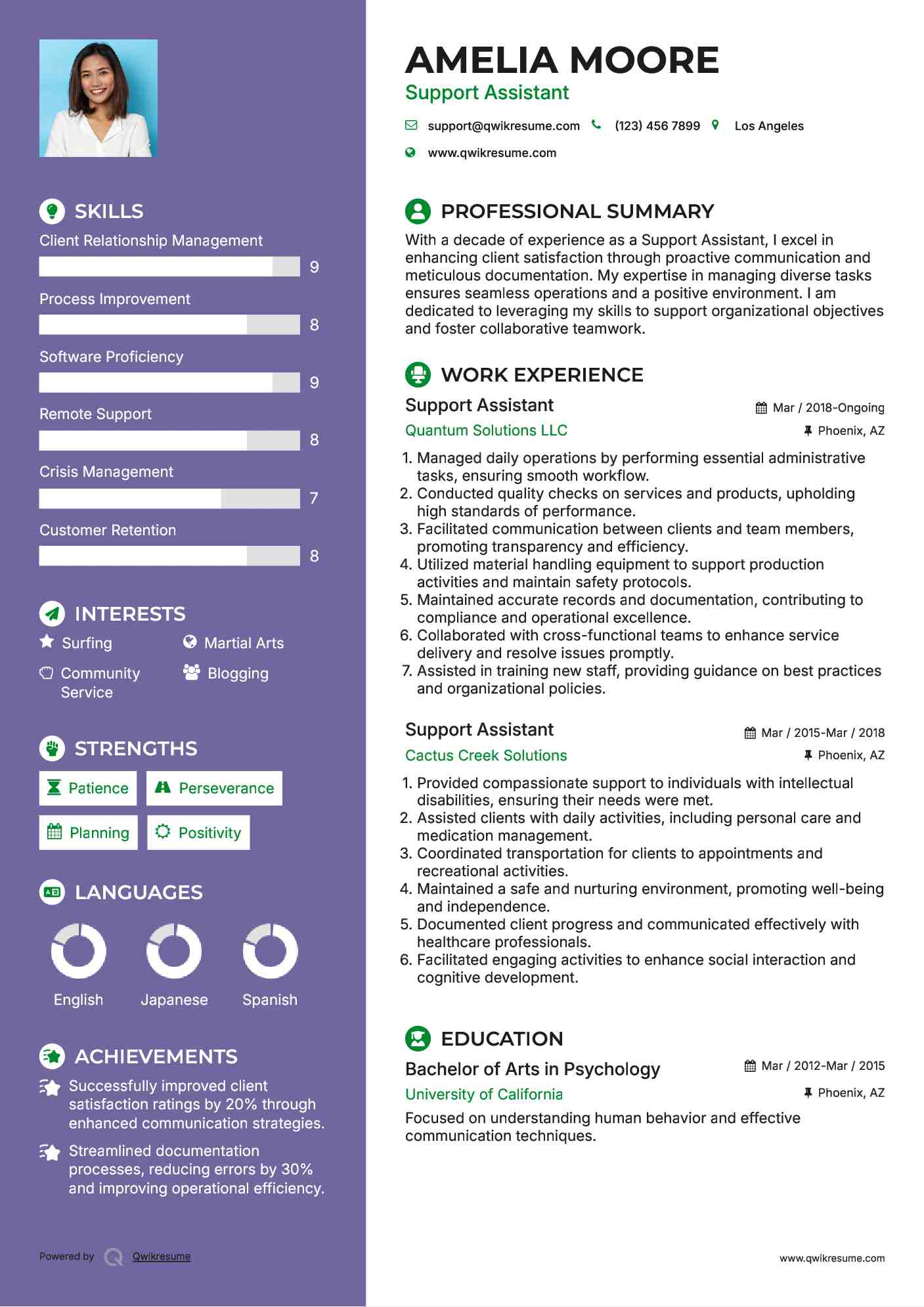 Support Assistant Resume Sample