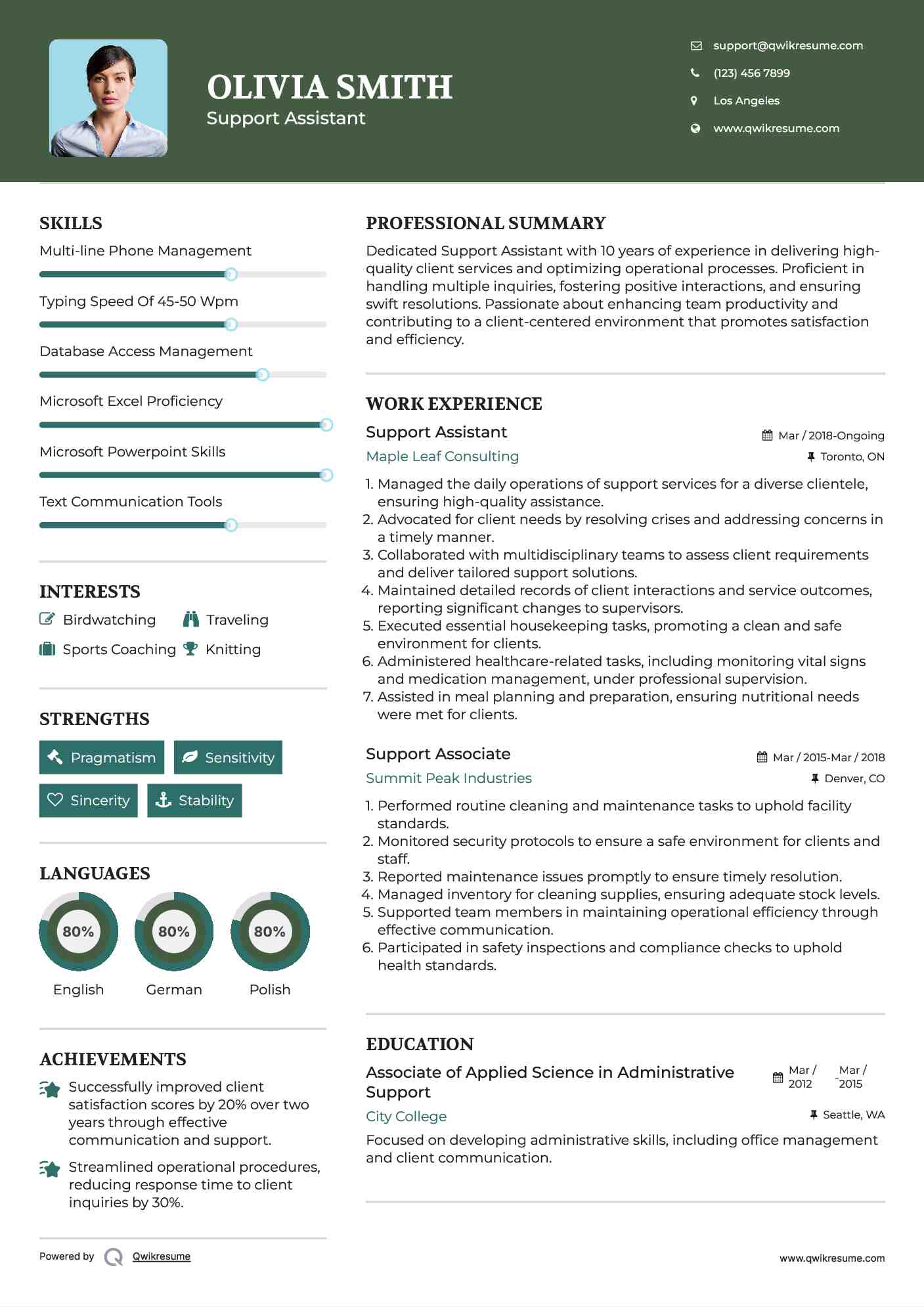 Support Assistant Resume Sample