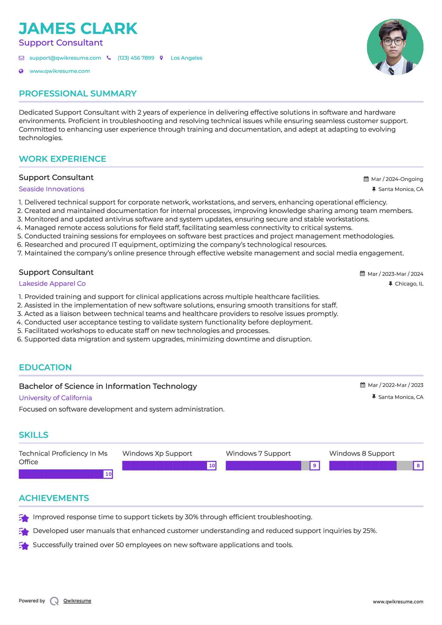 Support Consultant Resume Sample