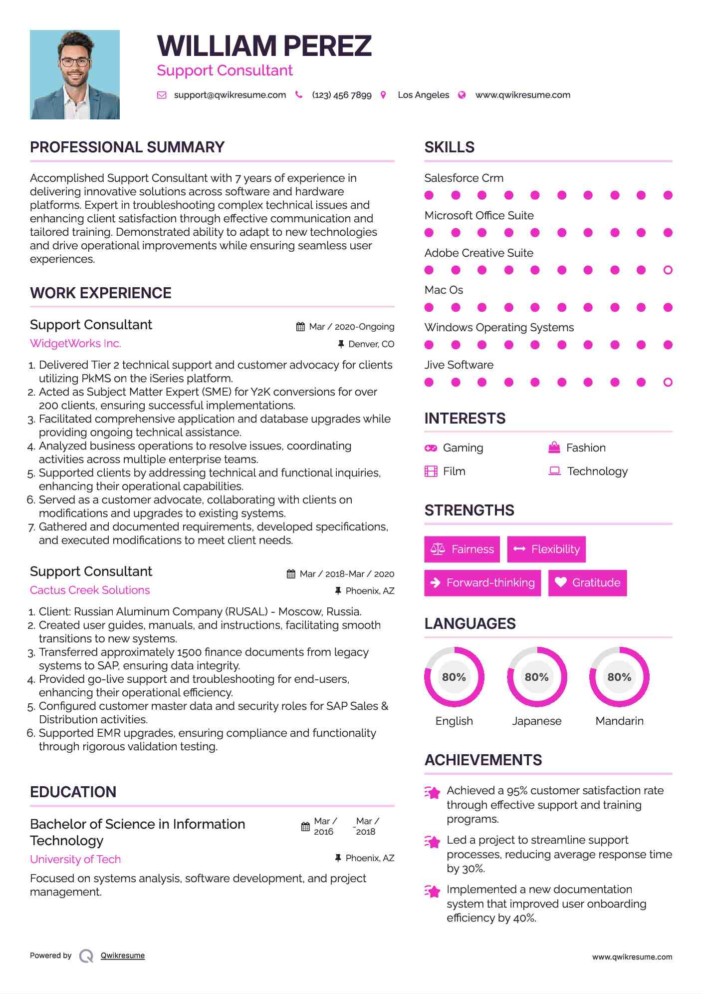 Support Consultant Resume Example