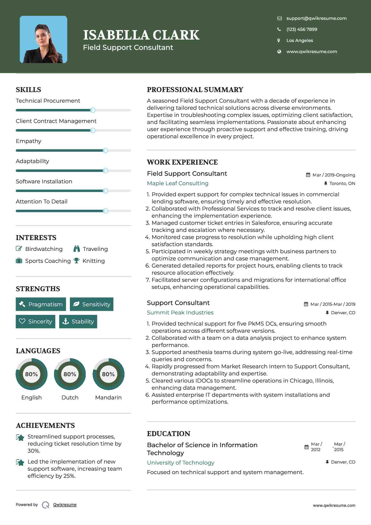 Field Support Consultant Resume Template