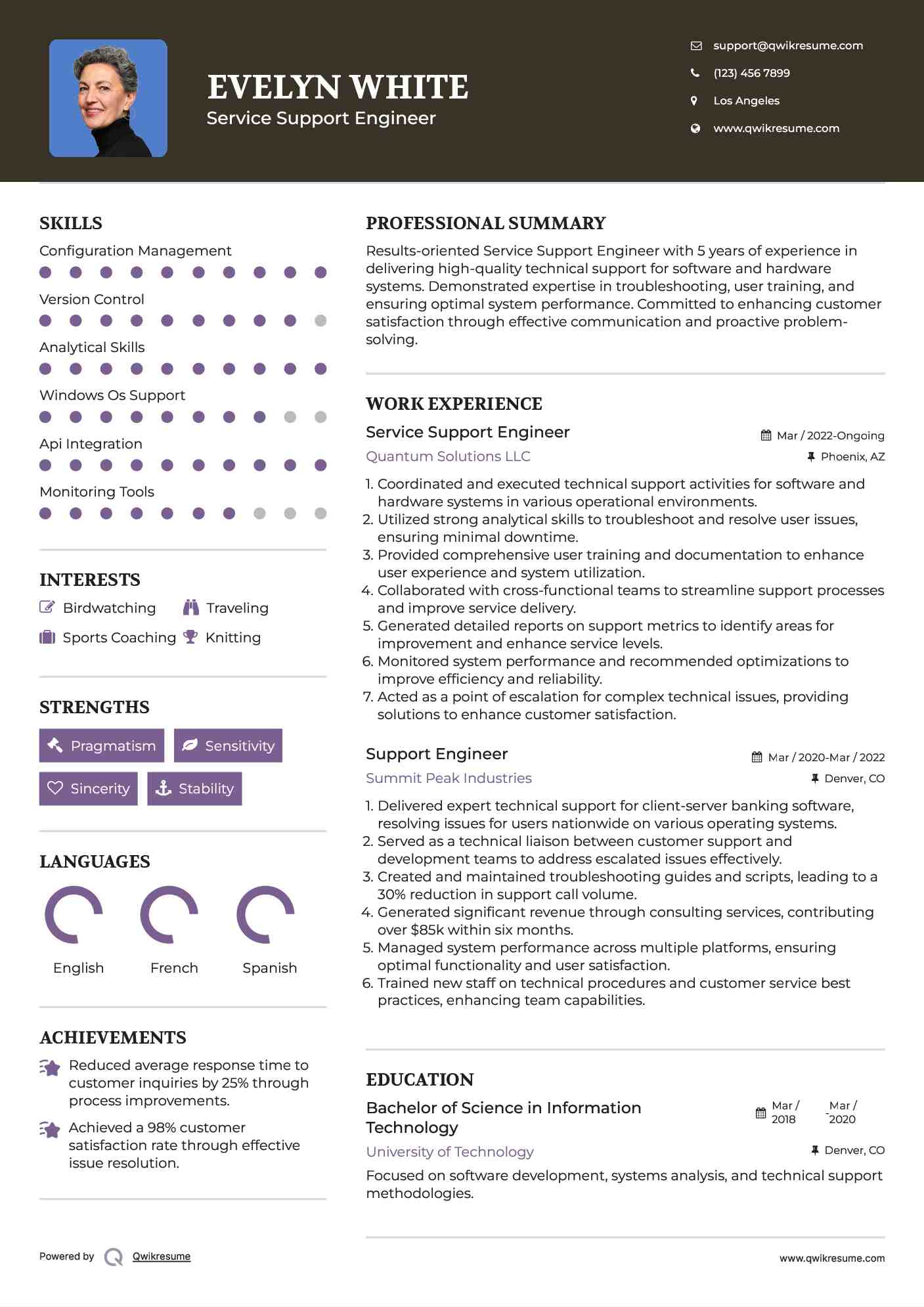 Service Support Engineer Resume Template
