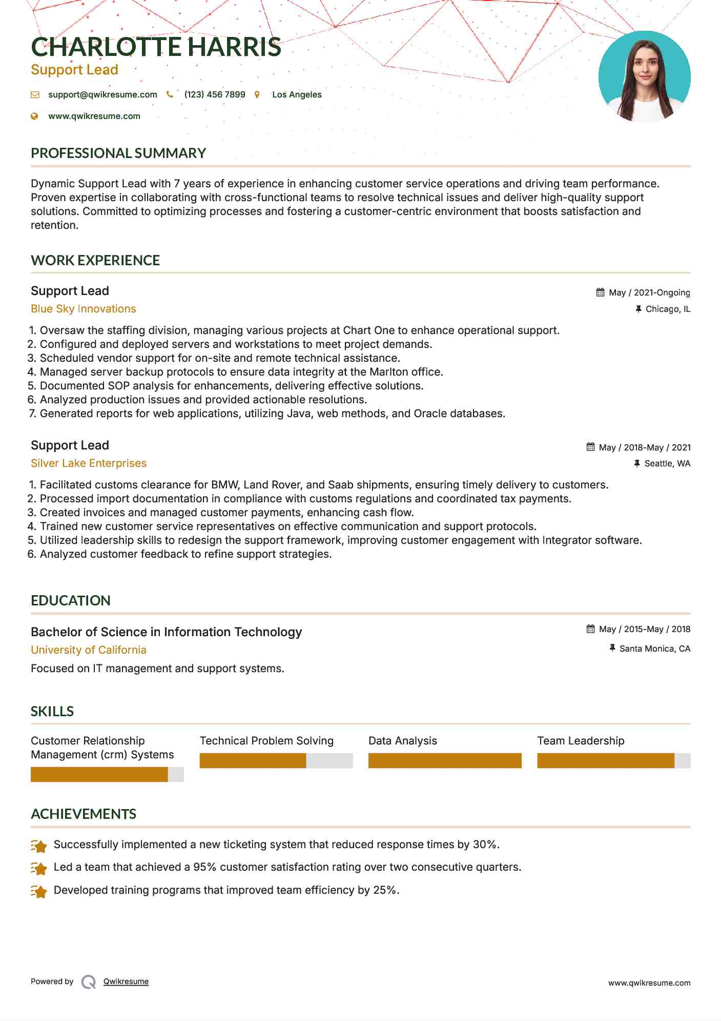 Support Lead Resume Example