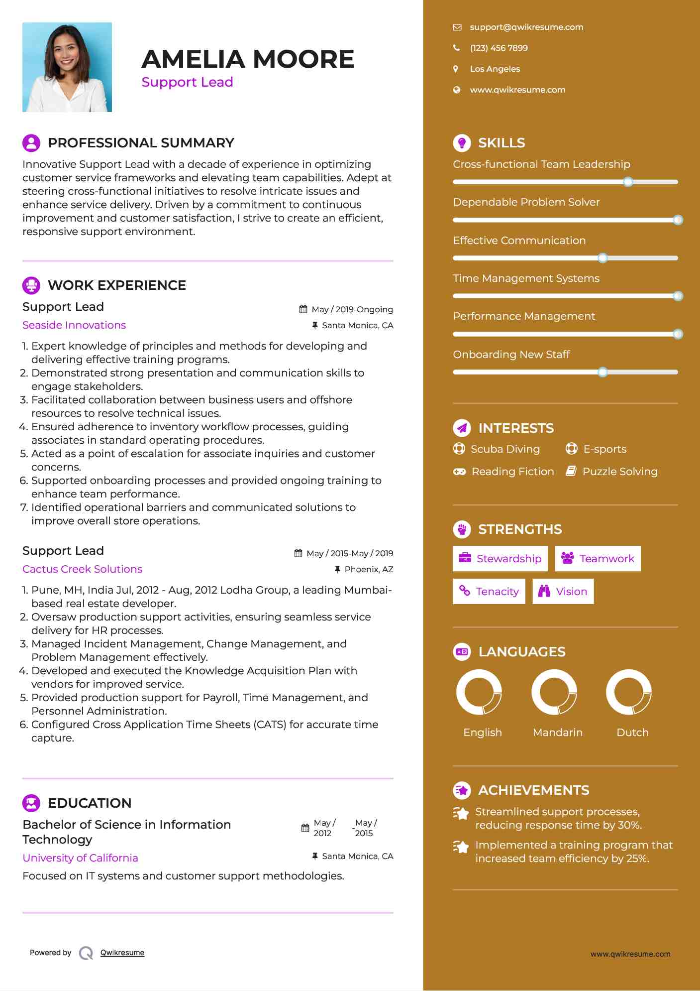 Support Lead Resume Sample
