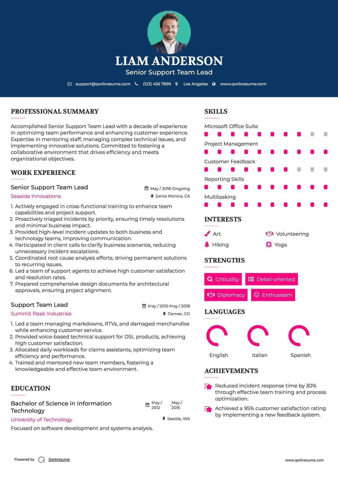 Senior Support Team Lead Resume Template