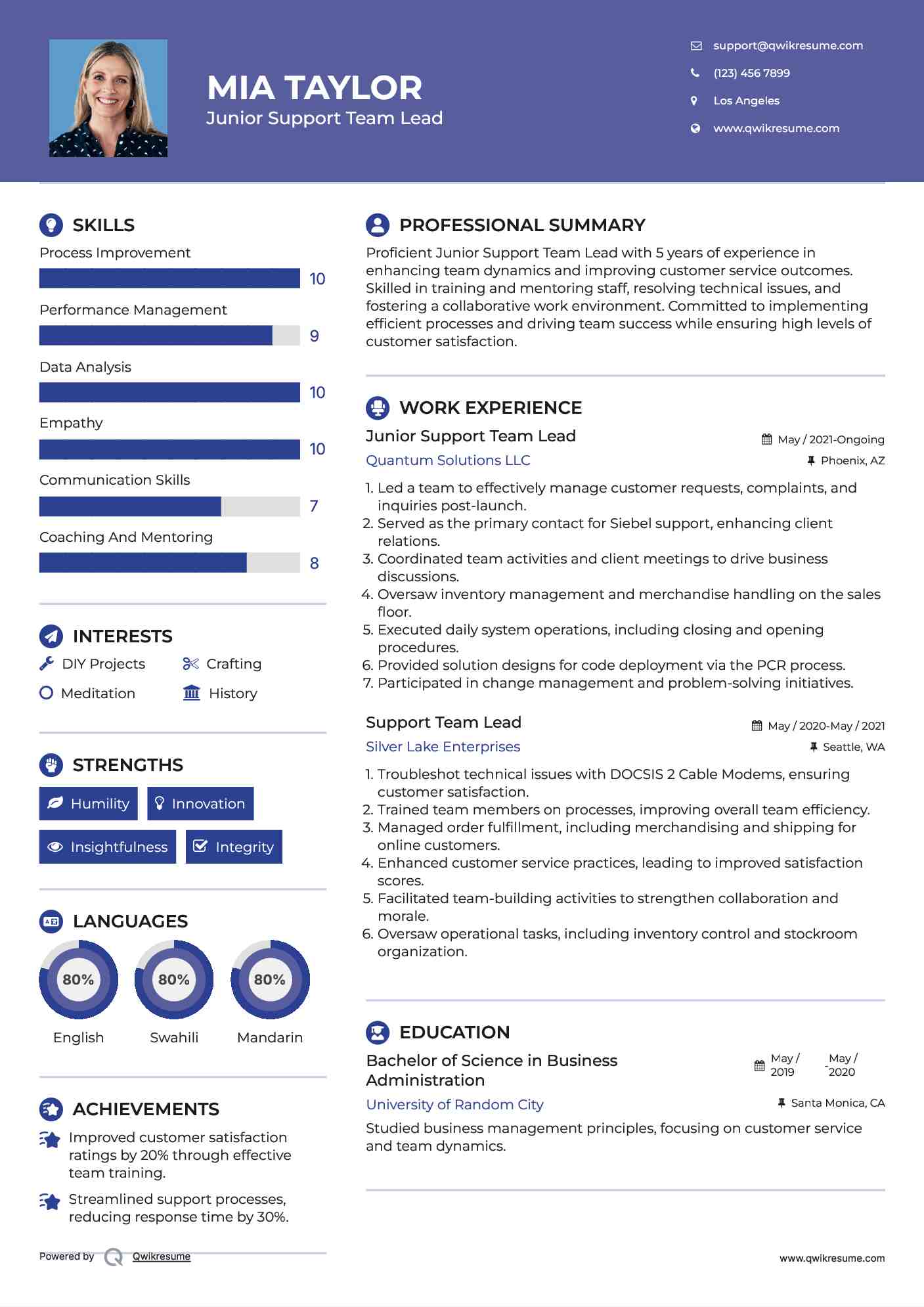 Junior Support Team Lead Resume Model