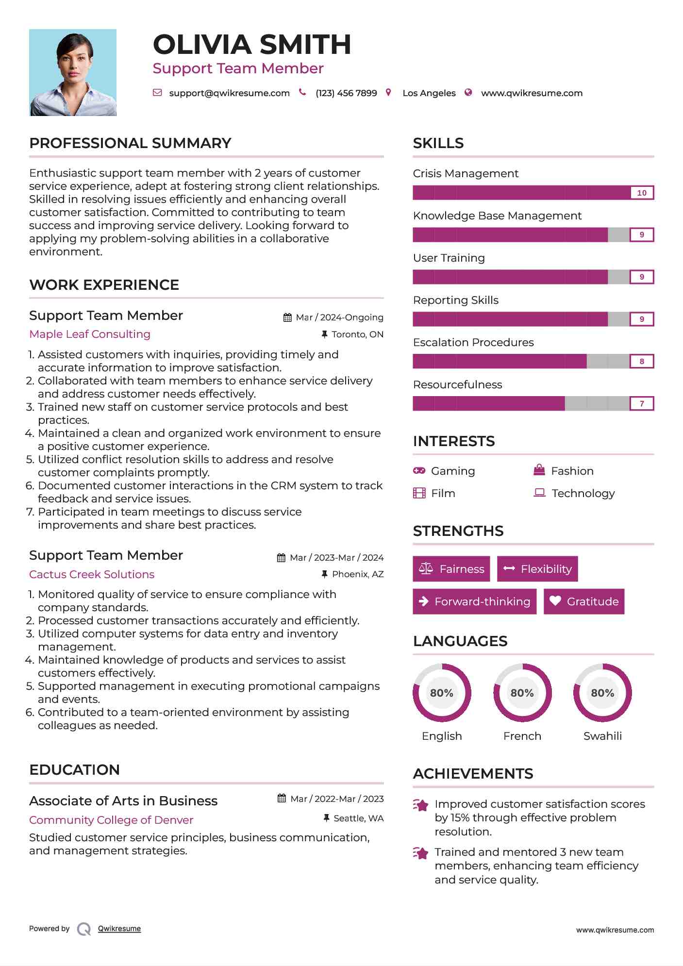 Support Team Member Resume Format