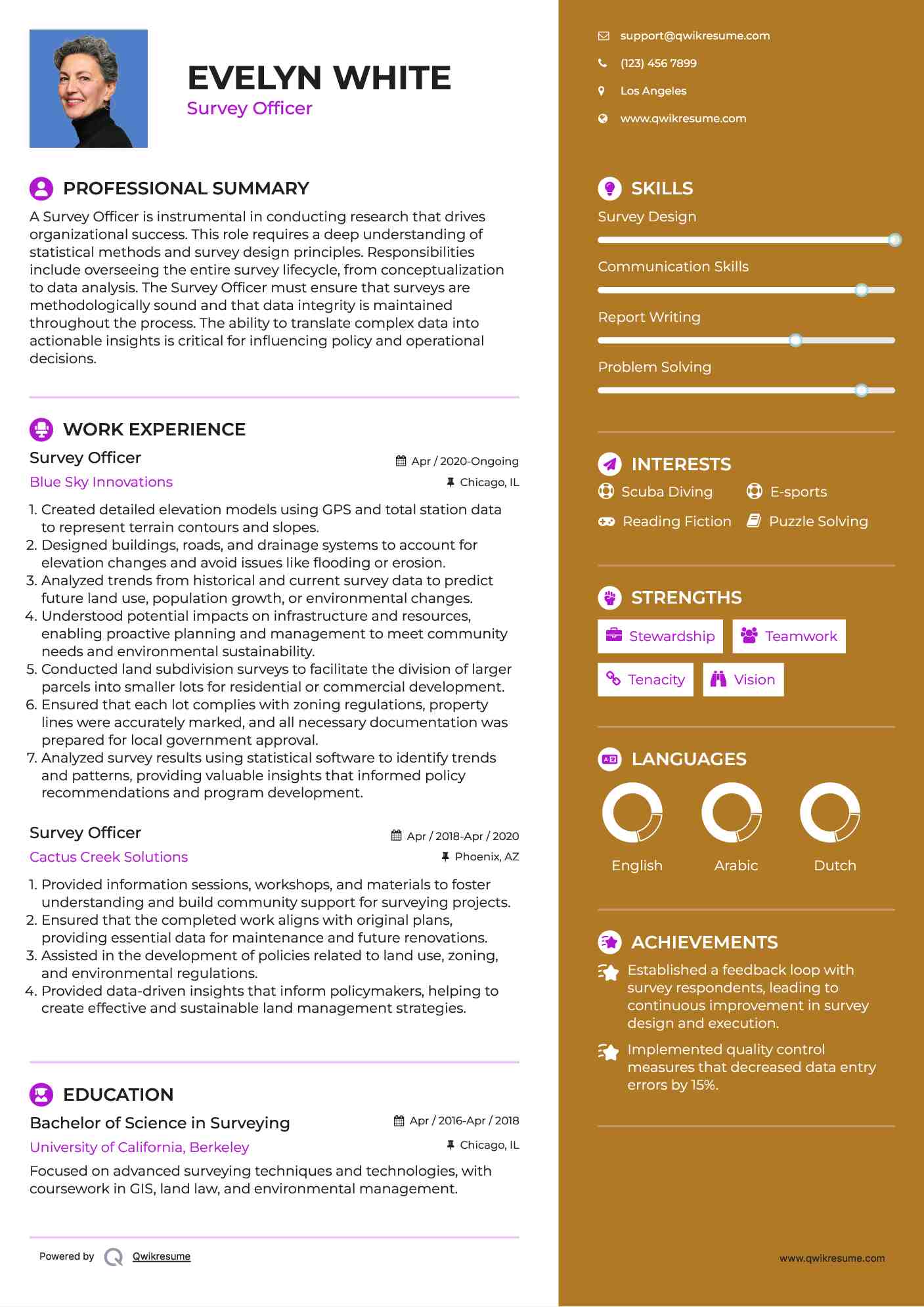 Survey Officer Resume Example