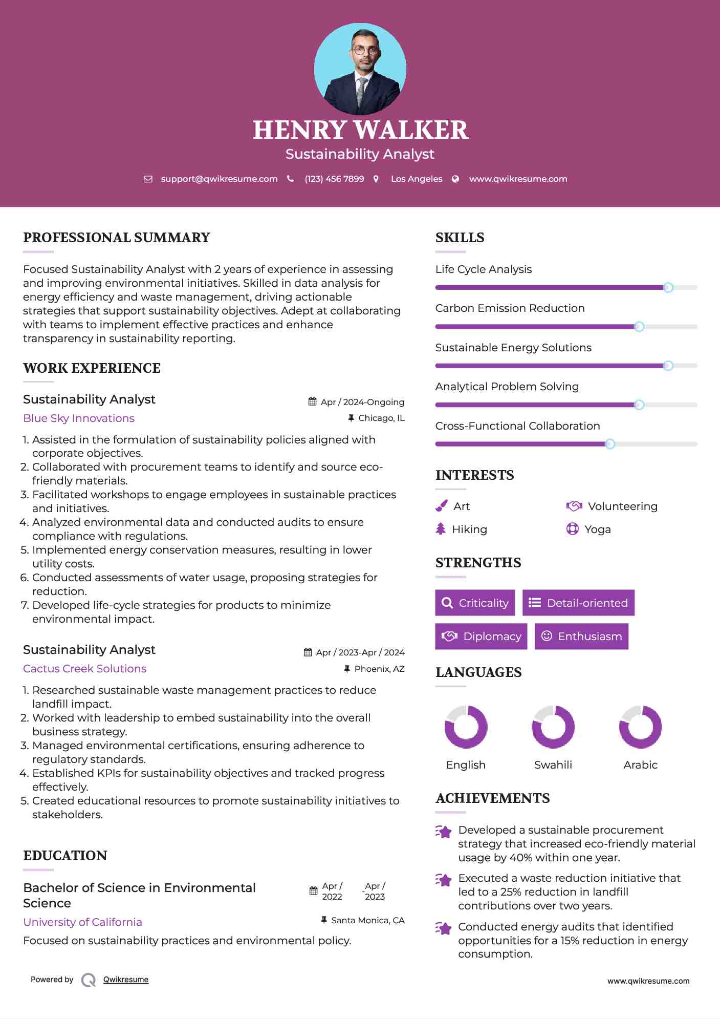 Sustainability Analyst Resume Example