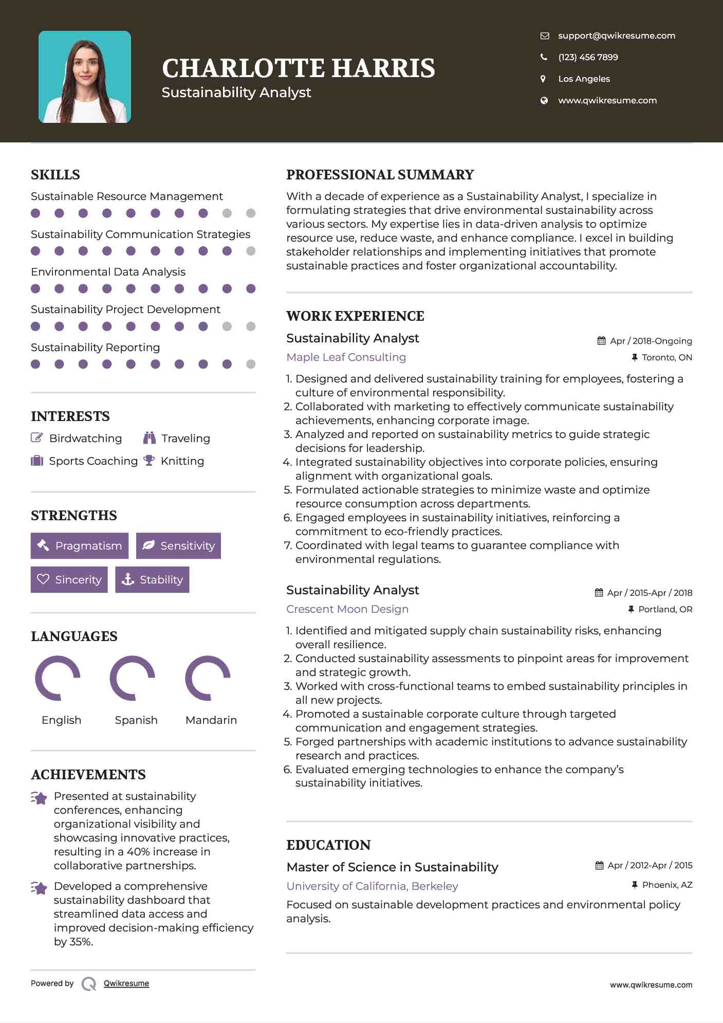 Sustainability Analyst Resume Template
