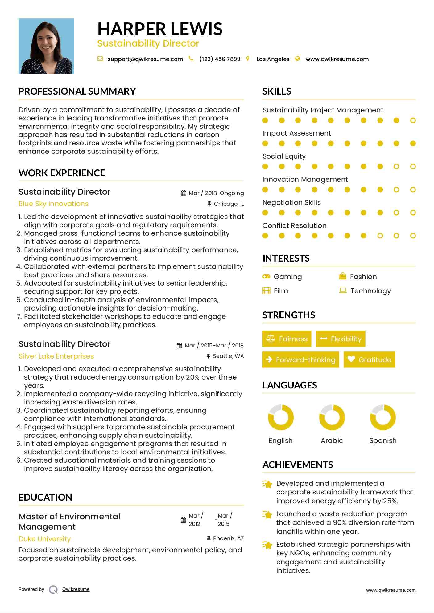 Sustainability Director Resume Example