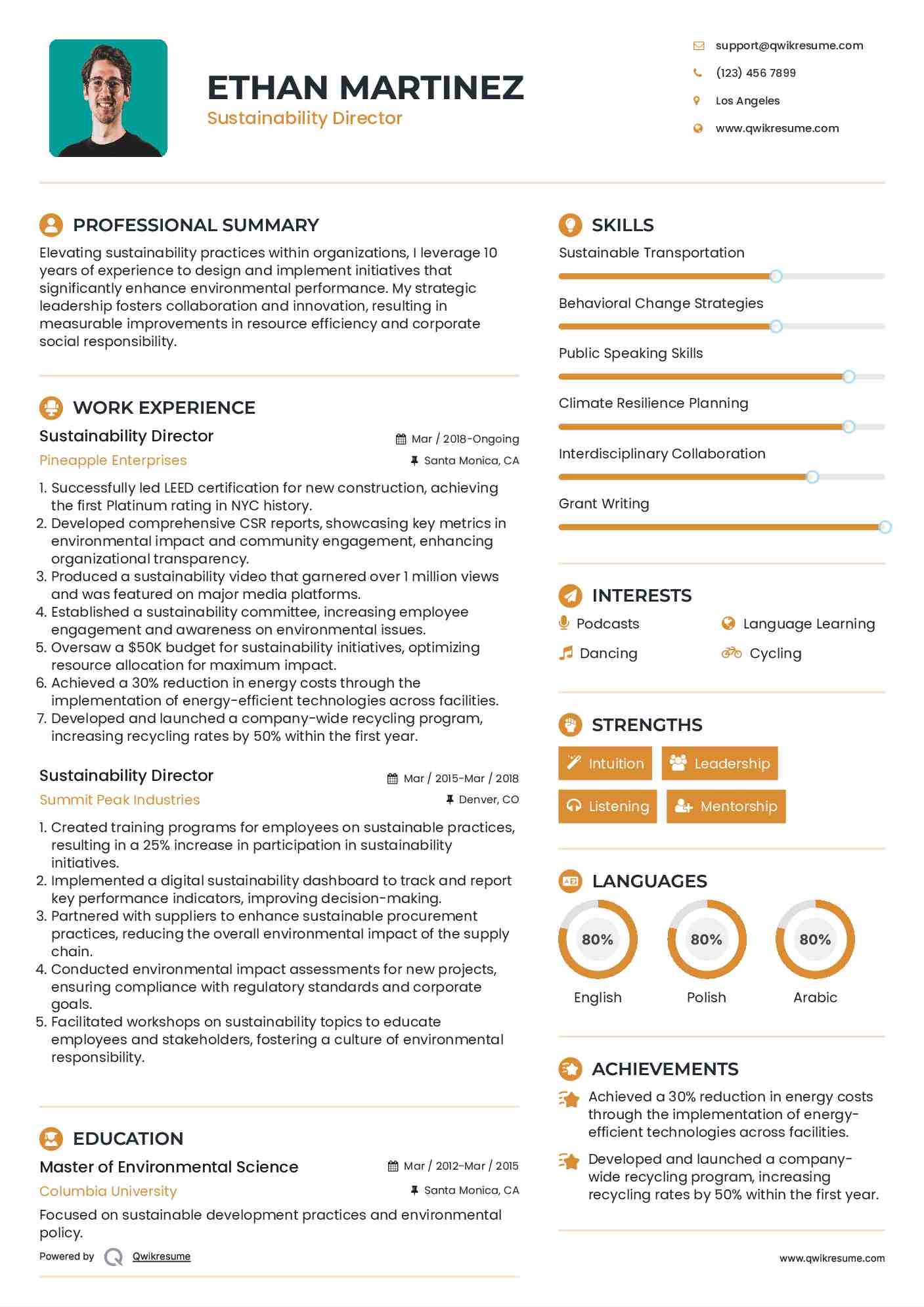 Sustainability Director Resume Example
