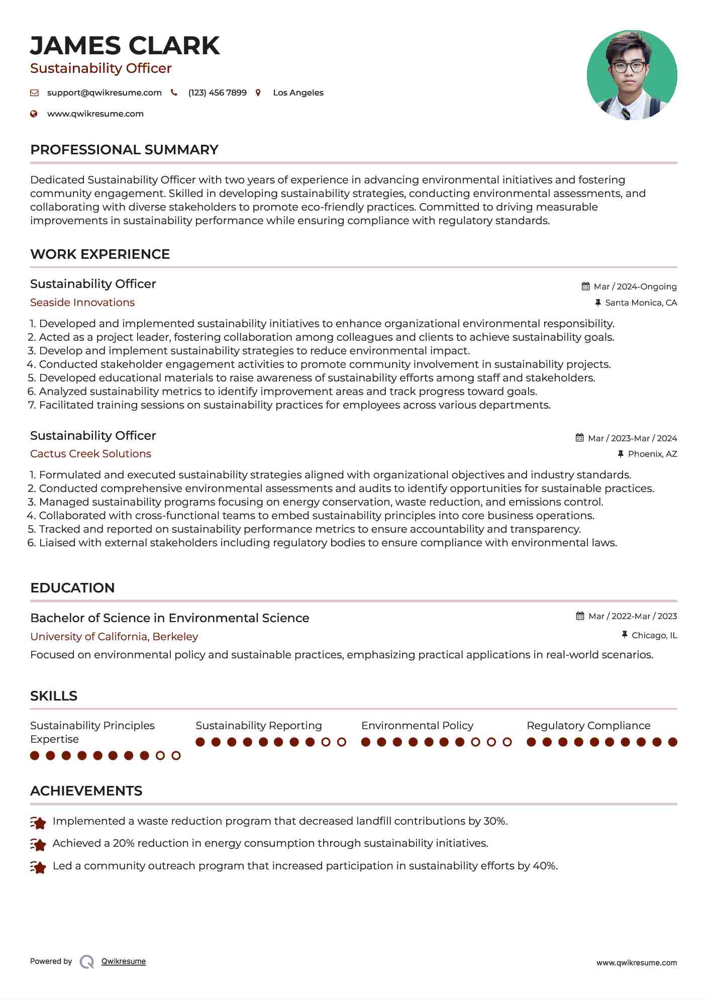 Sustainability Officer Resume Template