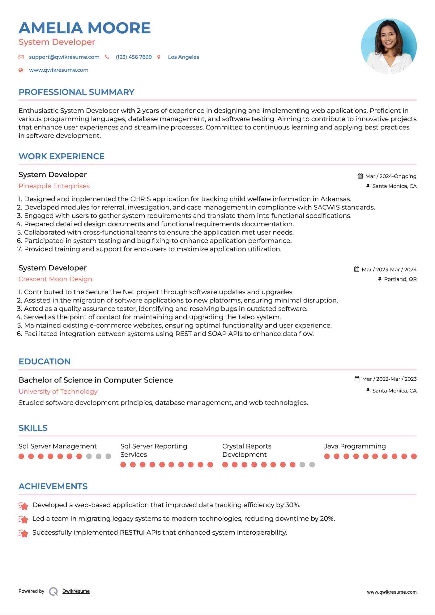 System Developer Resume Example