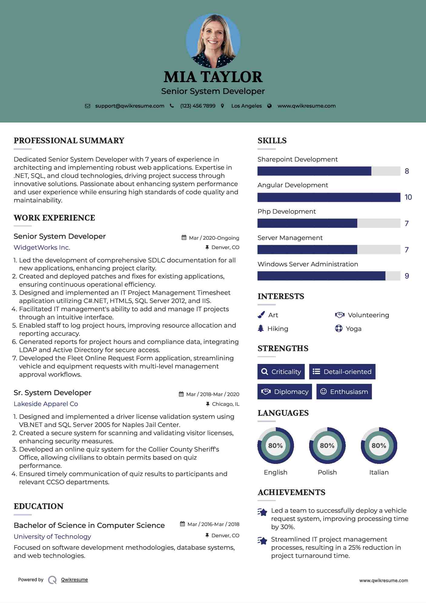 Senior System Developer Resume Model