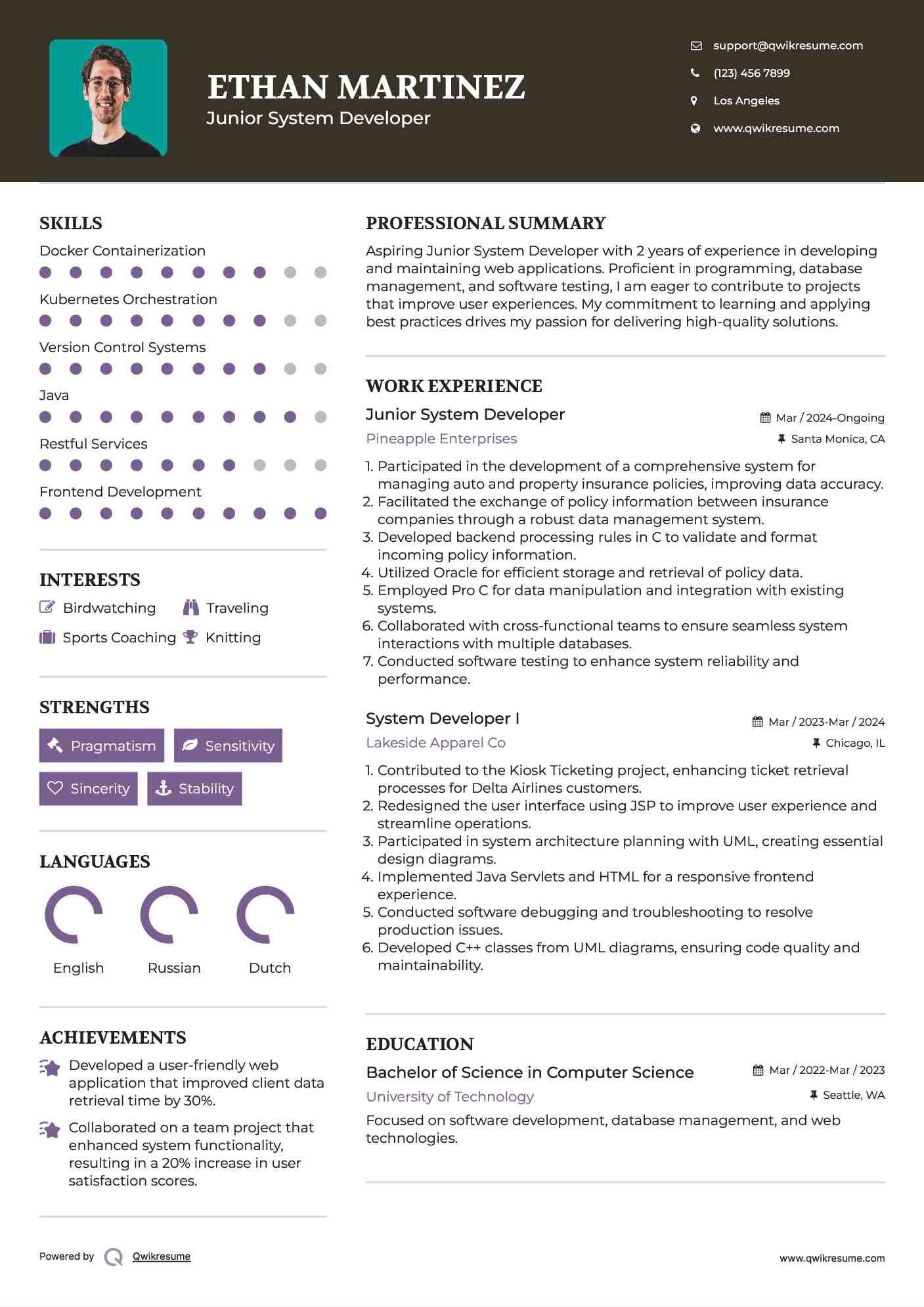 Junior System Developer Resume Model