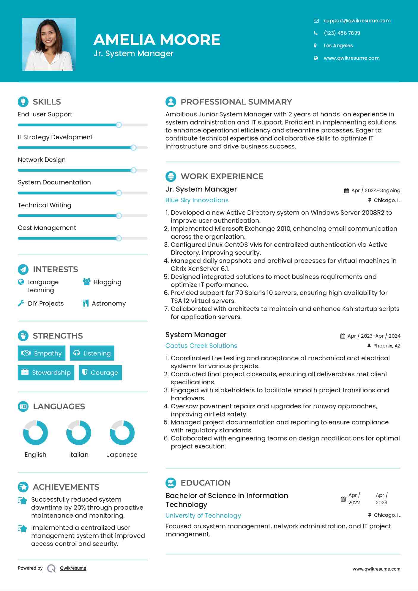 Jr. System Manager Resume Model