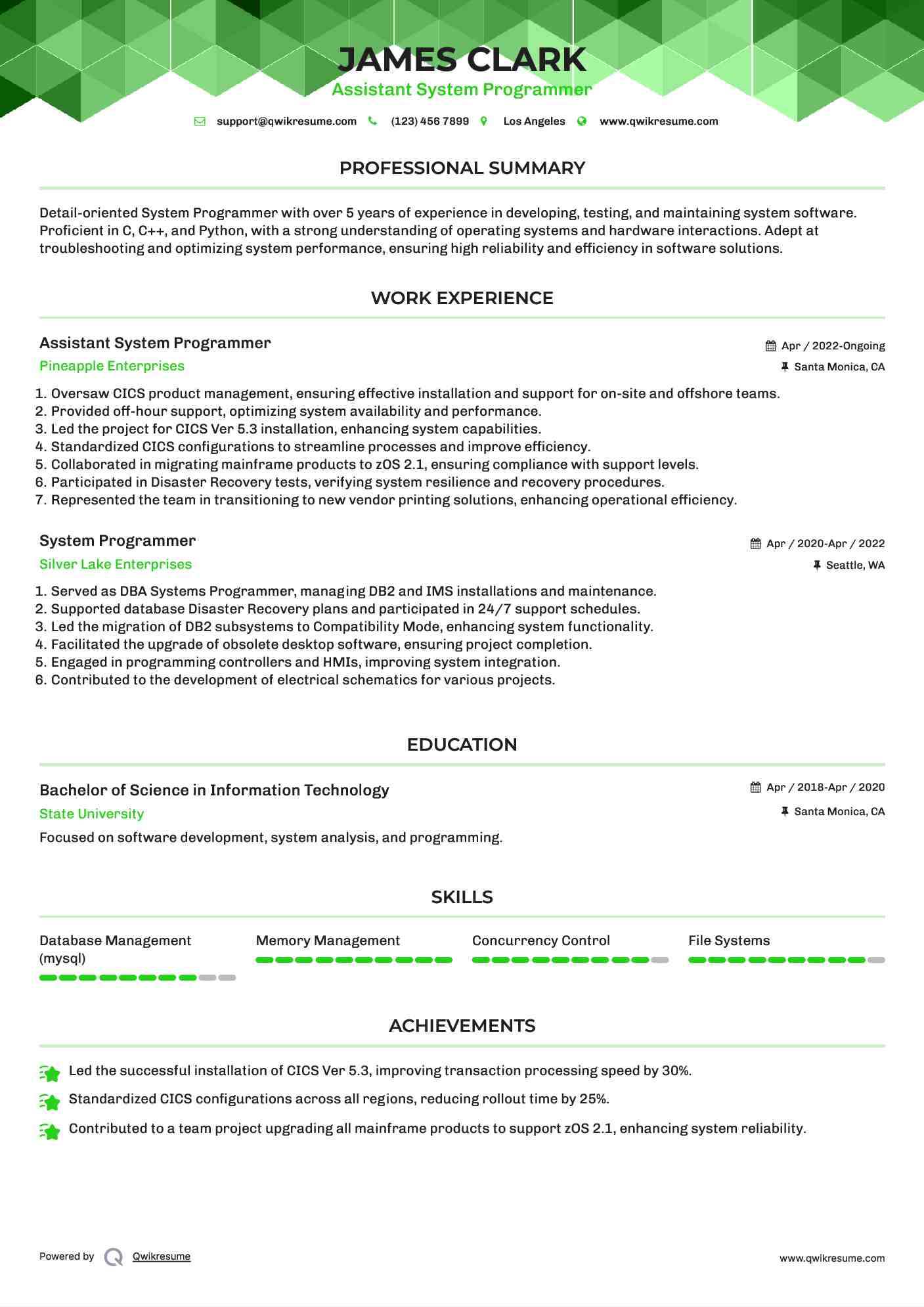 Assistant System Programmer Resume Example