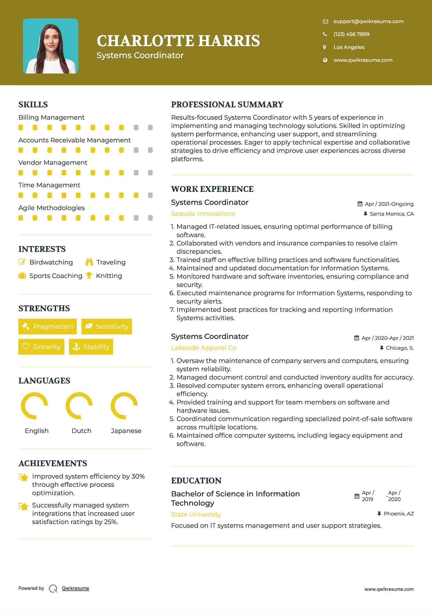 Systems Coordinator Resume Model