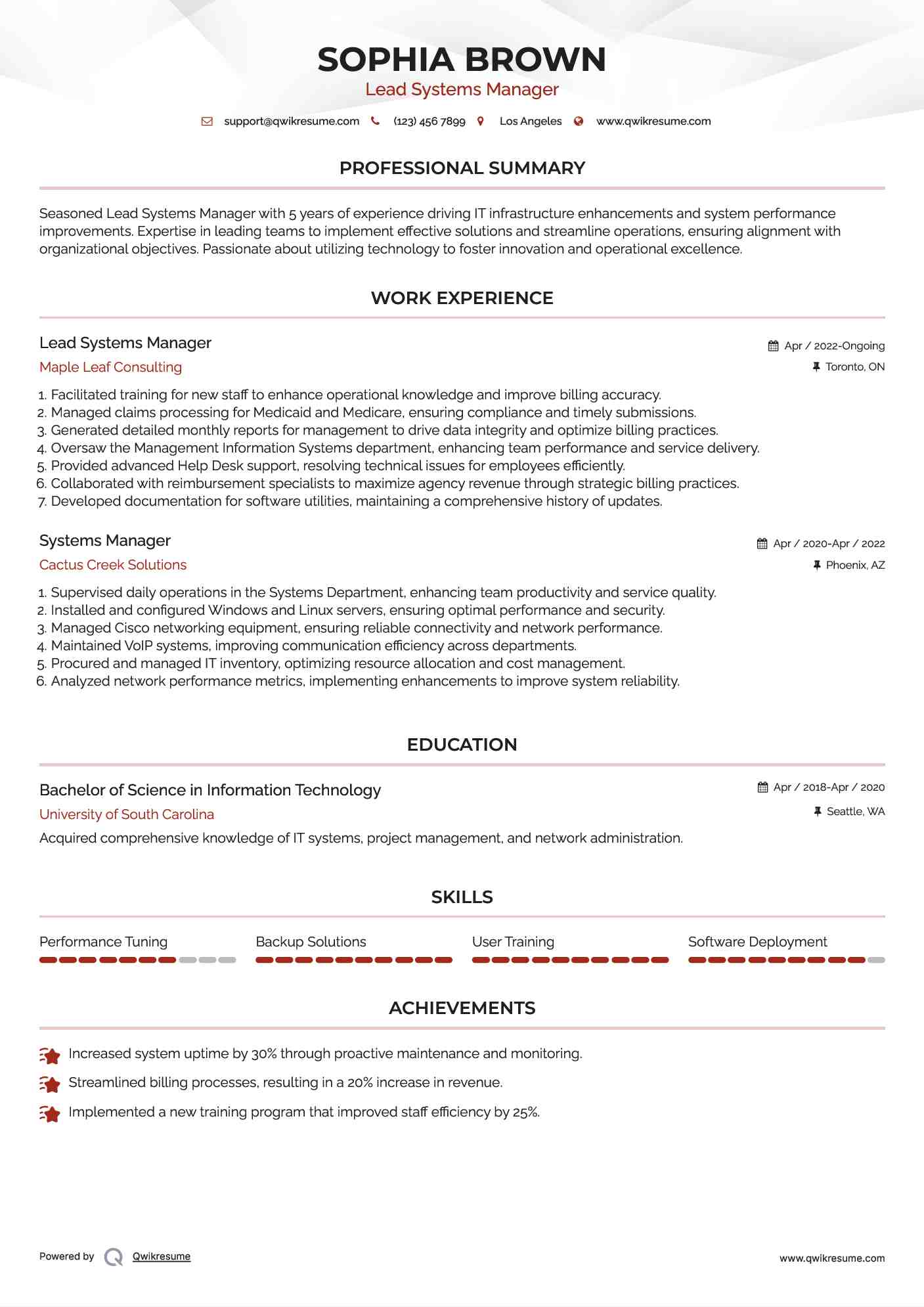 Lead Systems Manager Resume Template