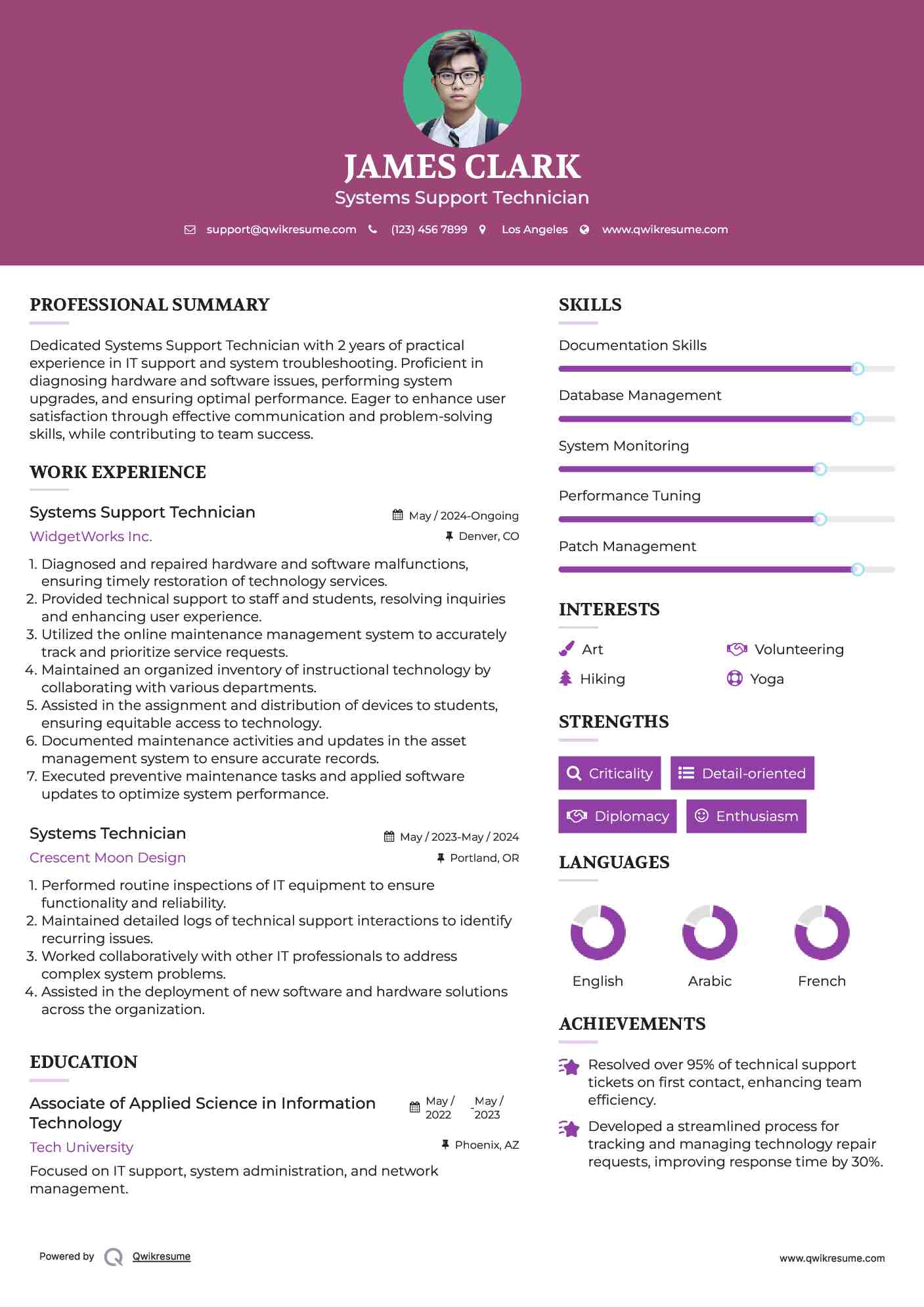 Systems Support Technician Resume Template
