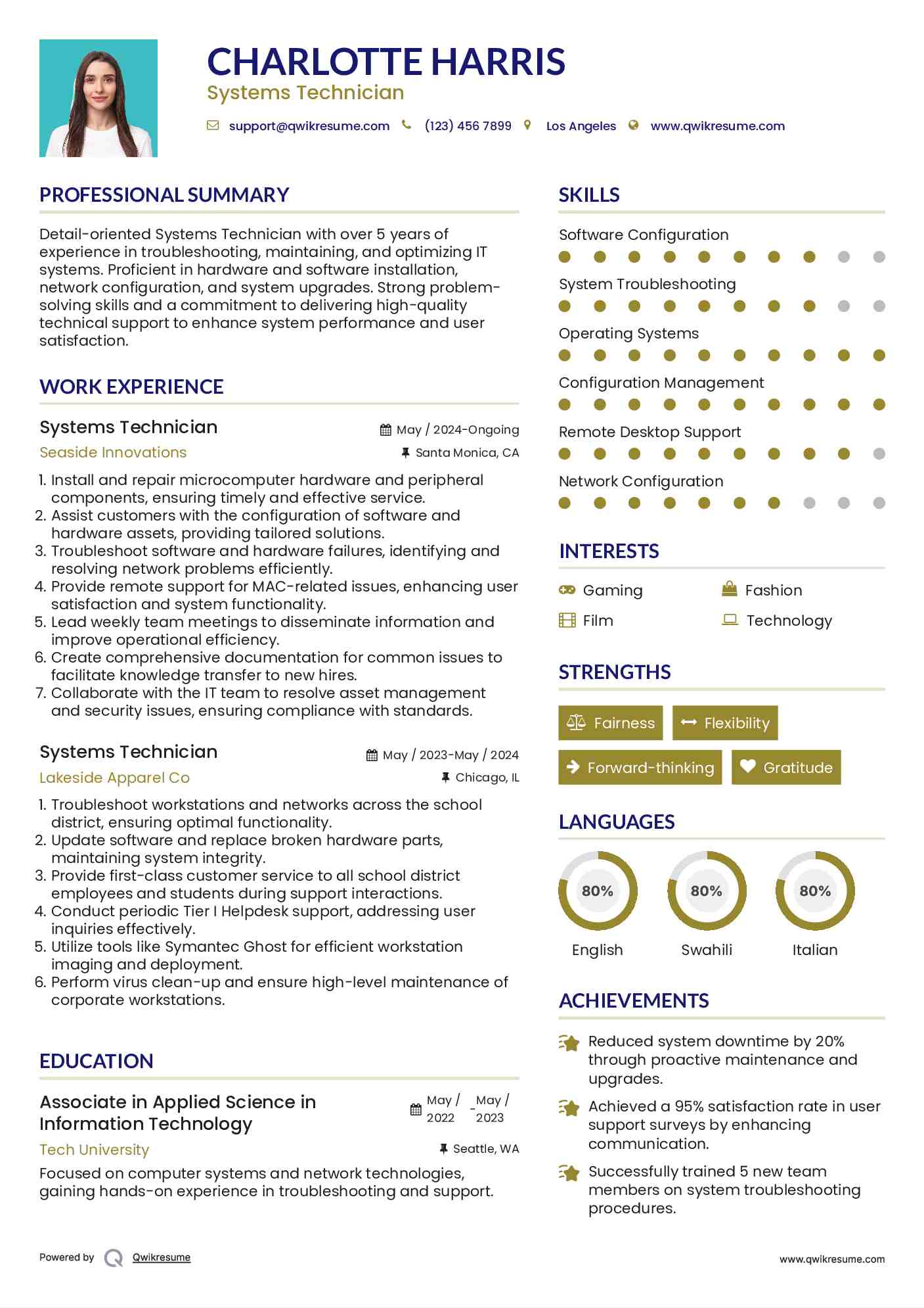 Systems Technician Resume Template