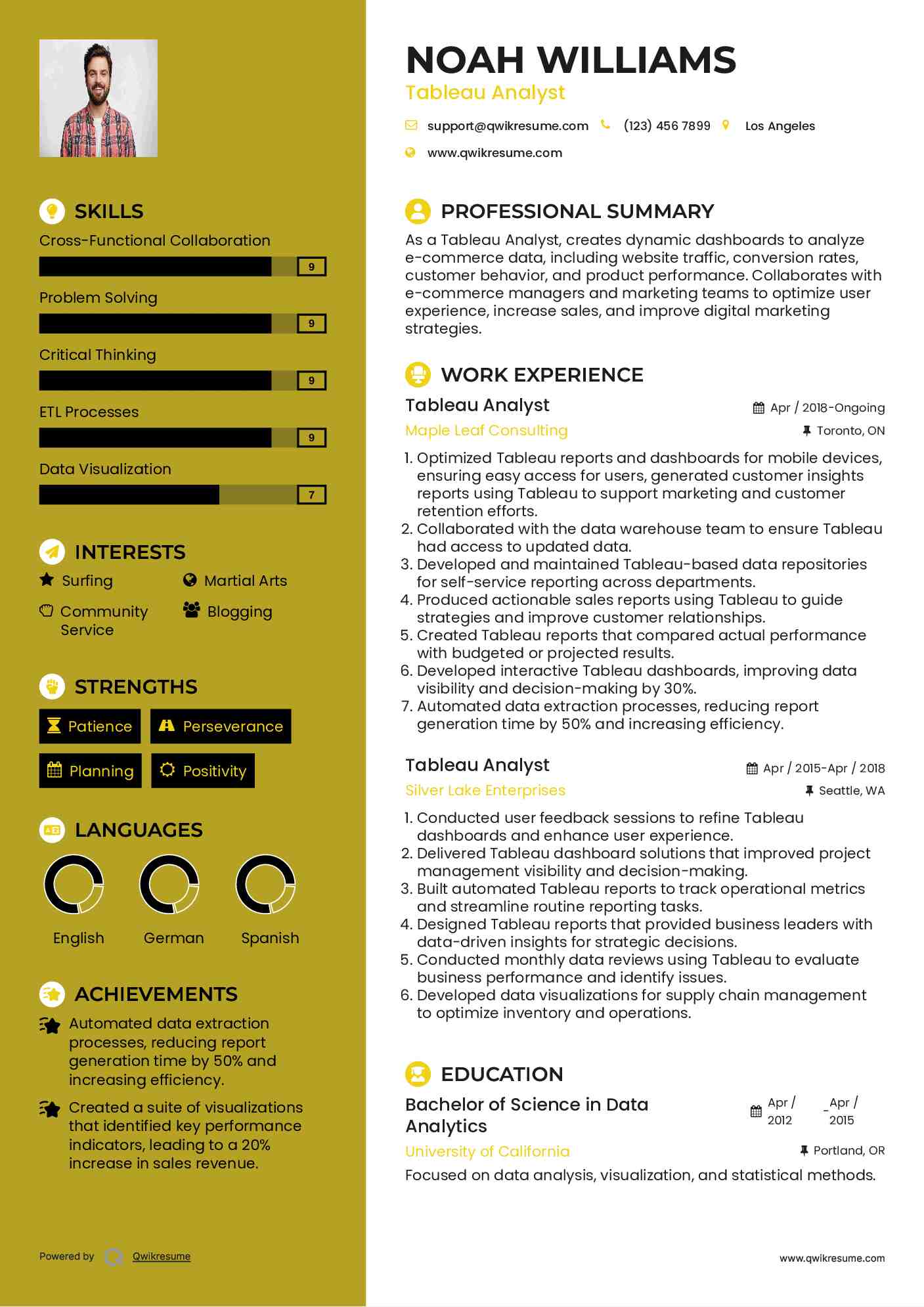 Tableau Analyst Resume Template
