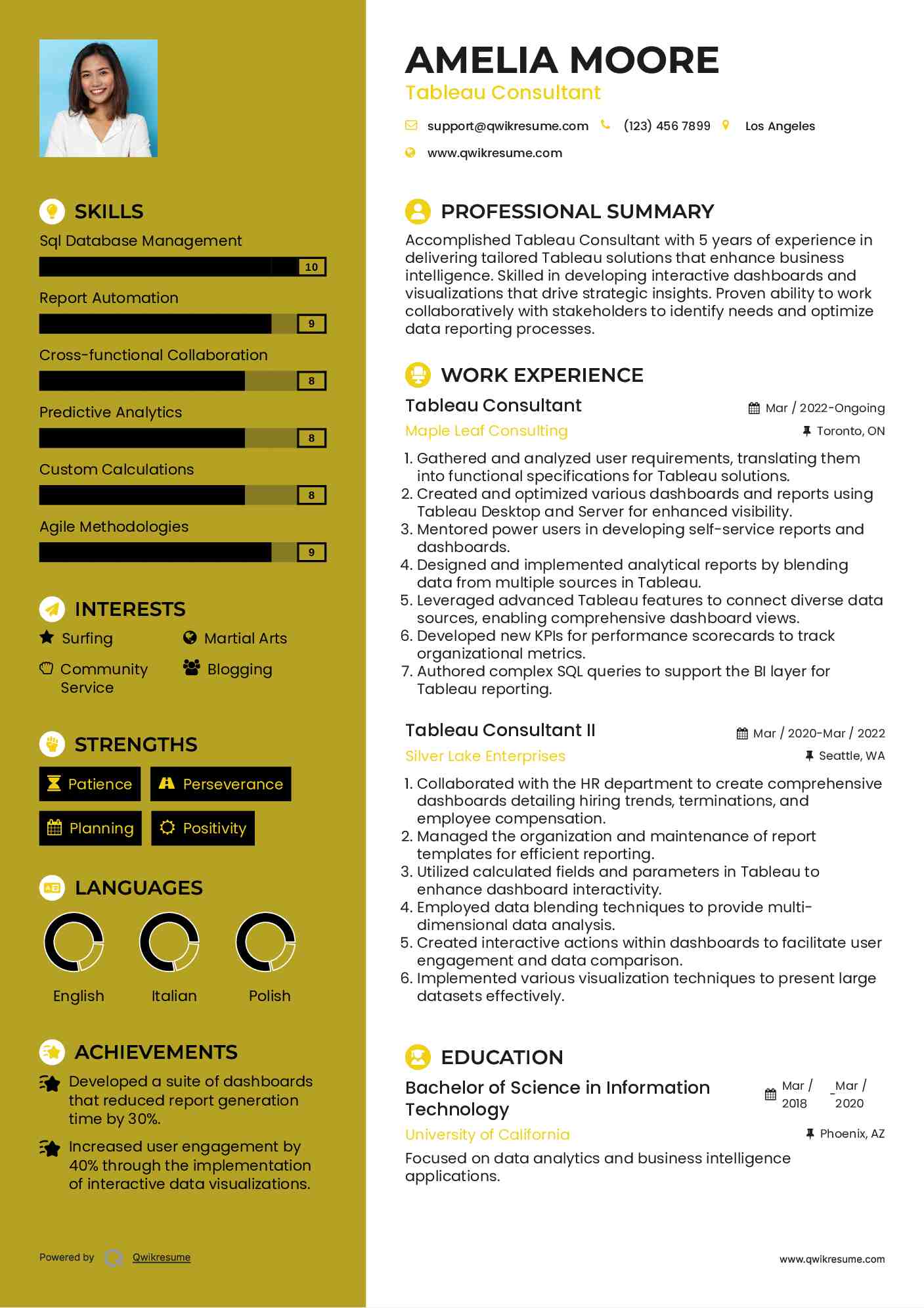 Tableau Consultant Resume Example