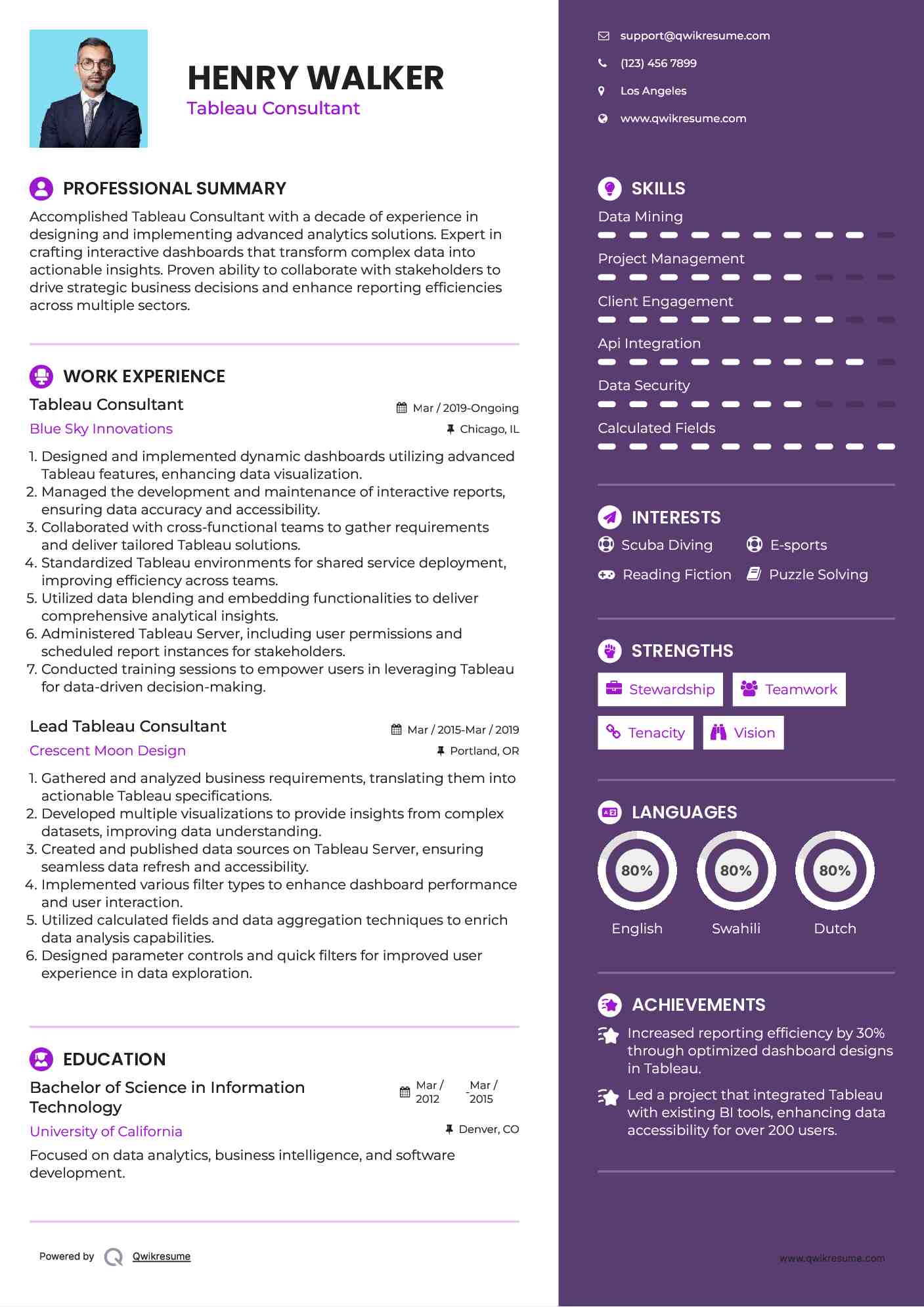 Tableau Consultant Resume Sample