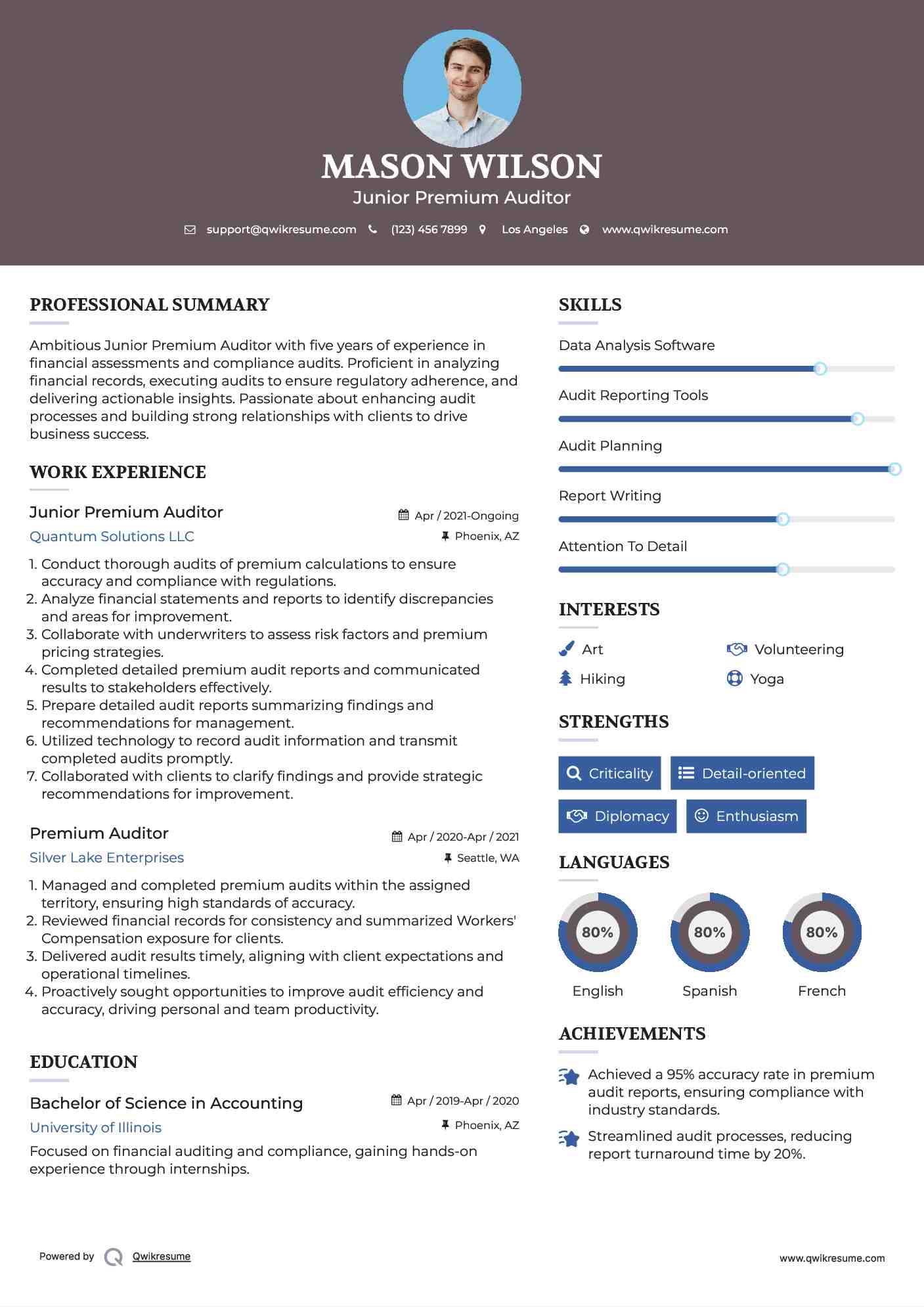 Junior Premium Auditor Resume Example