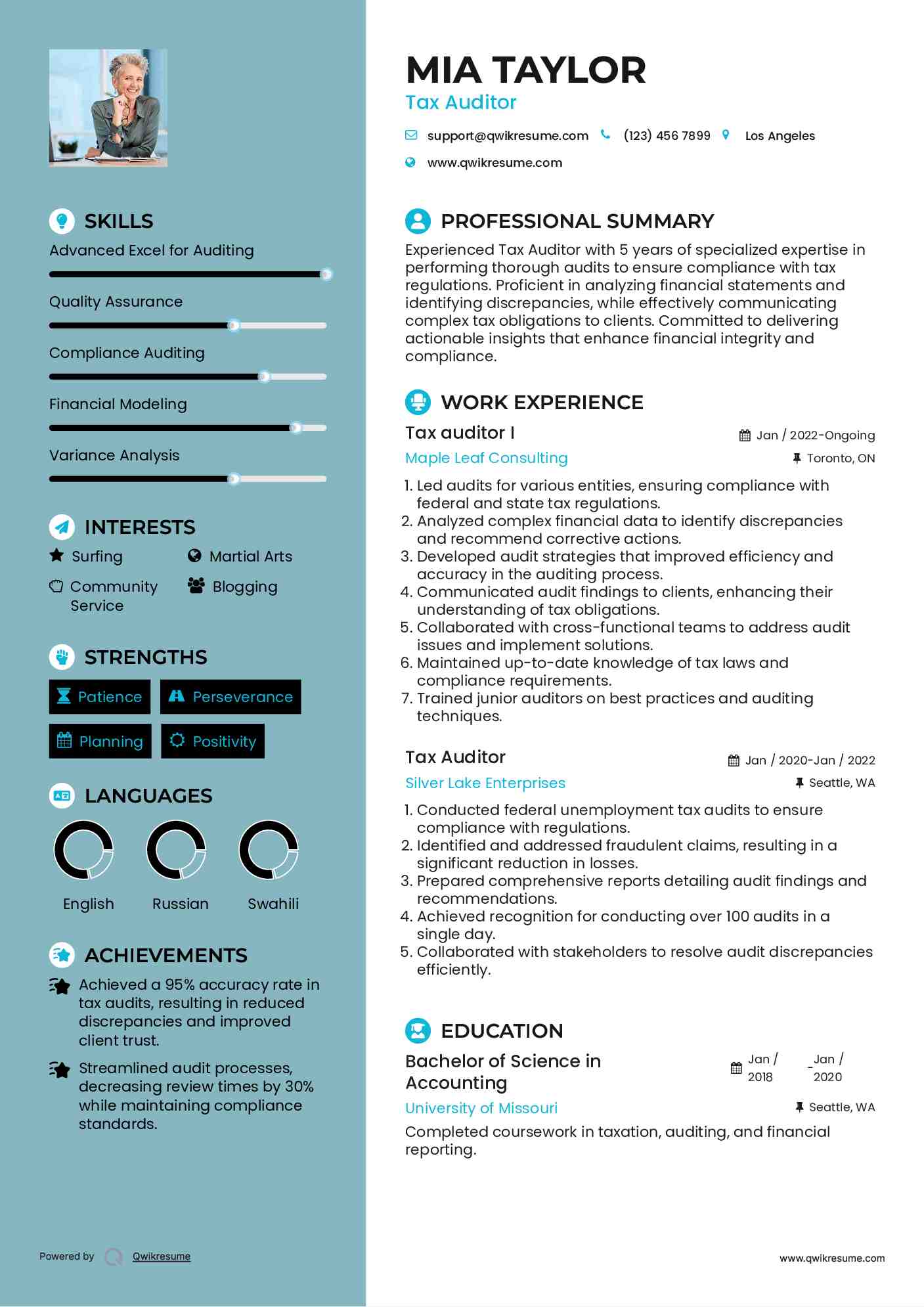 Tax auditor I Resume Sample