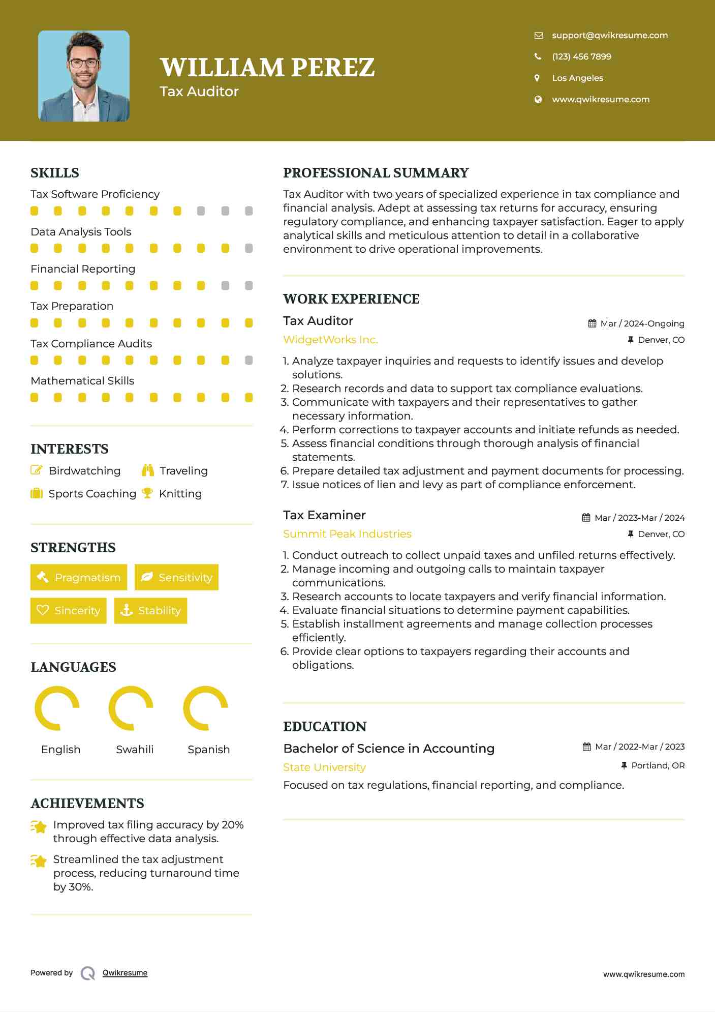 Tax Auditor Resume Format