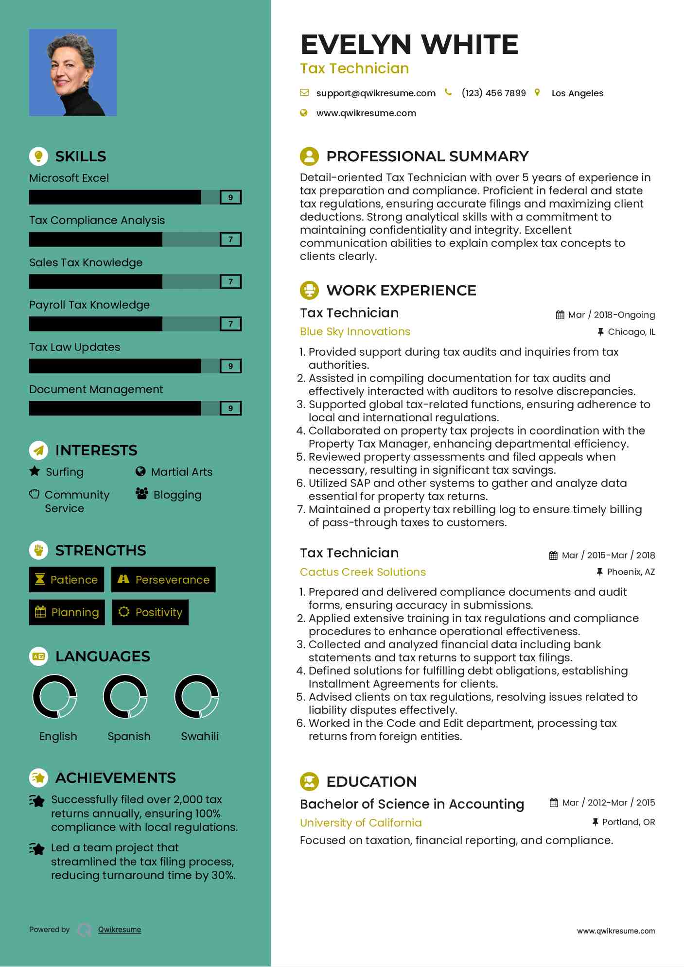 Tax Technician Resume Model