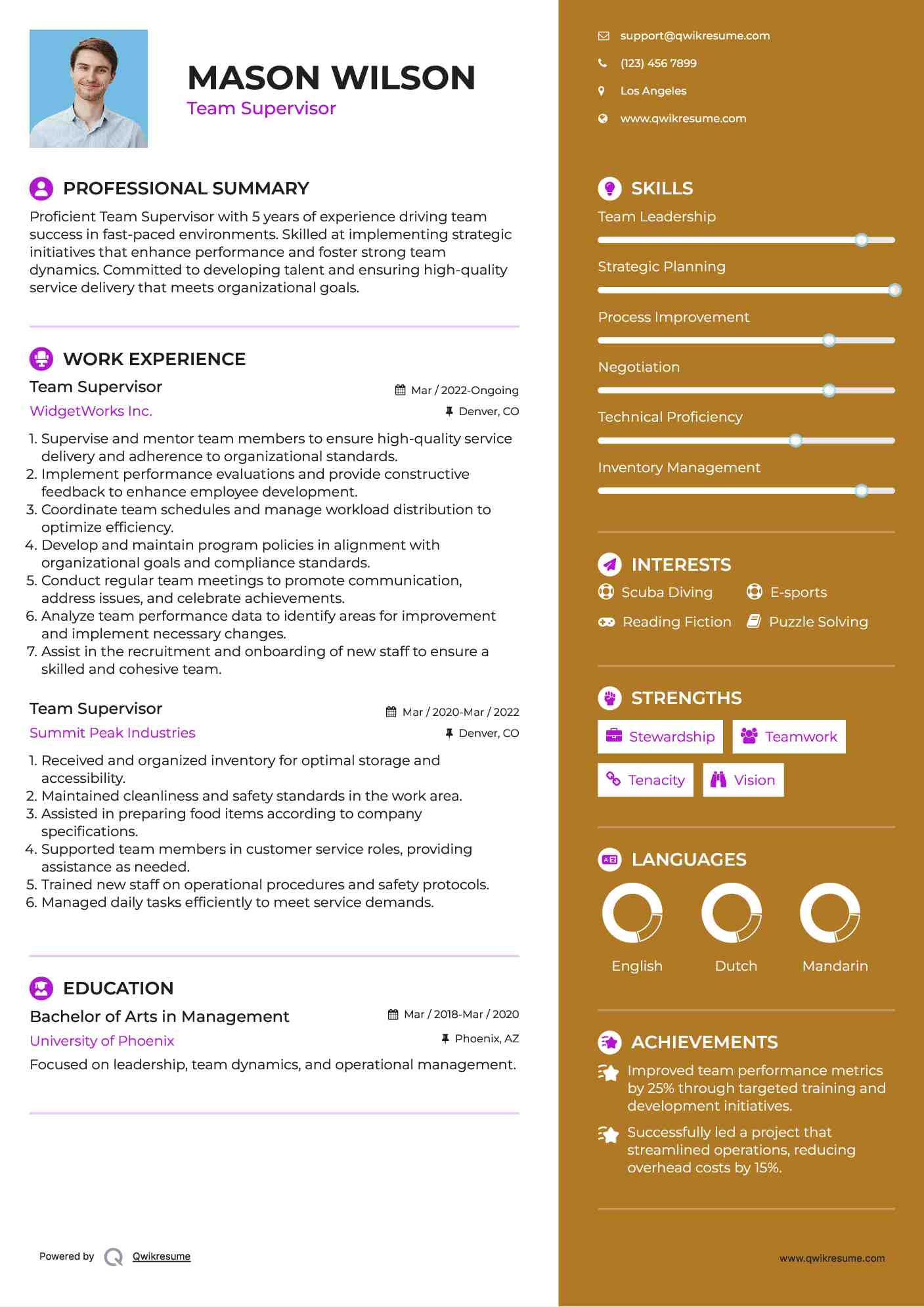 Team Supervisor Resume Template