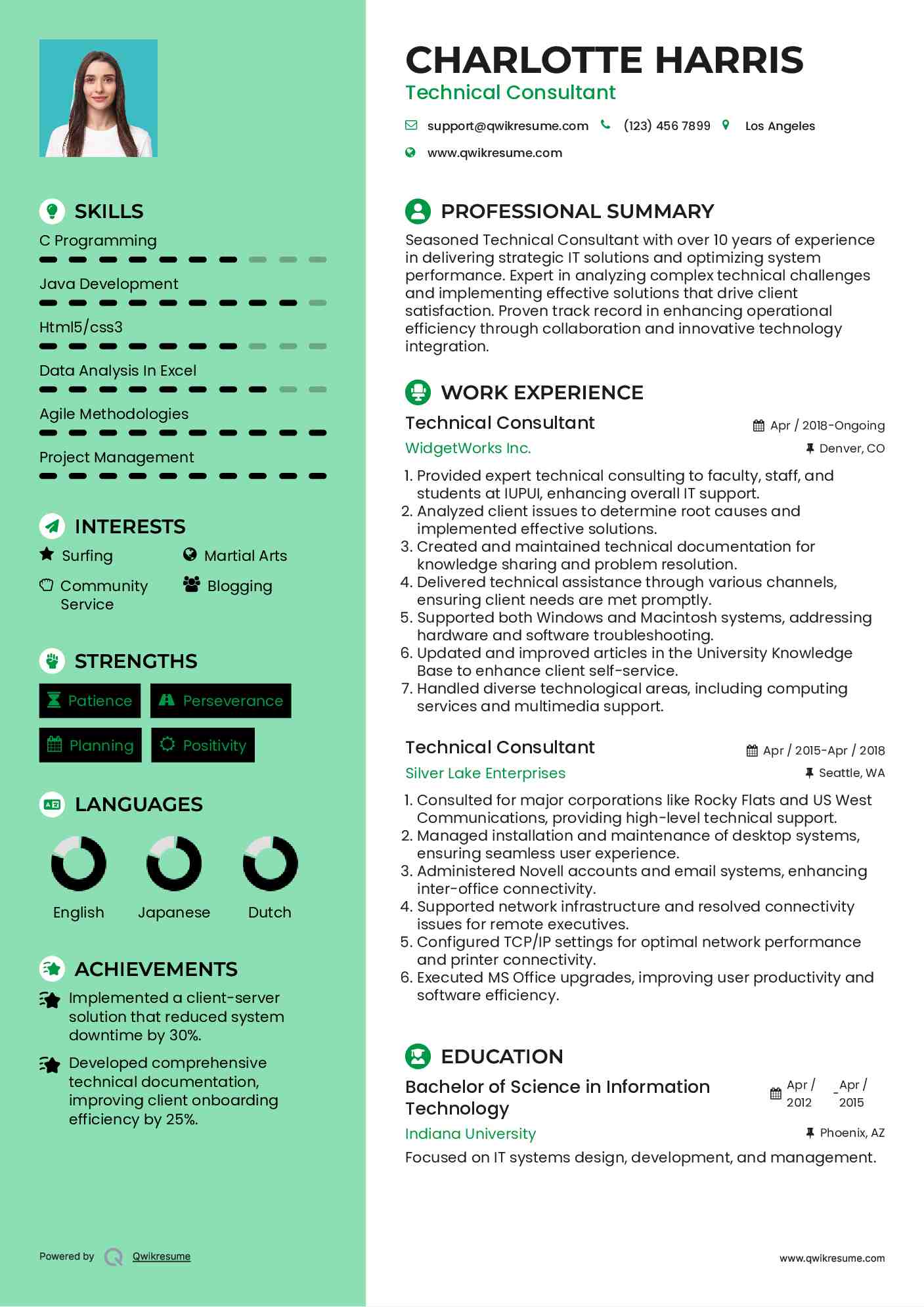 Technical Consultant Resume Format