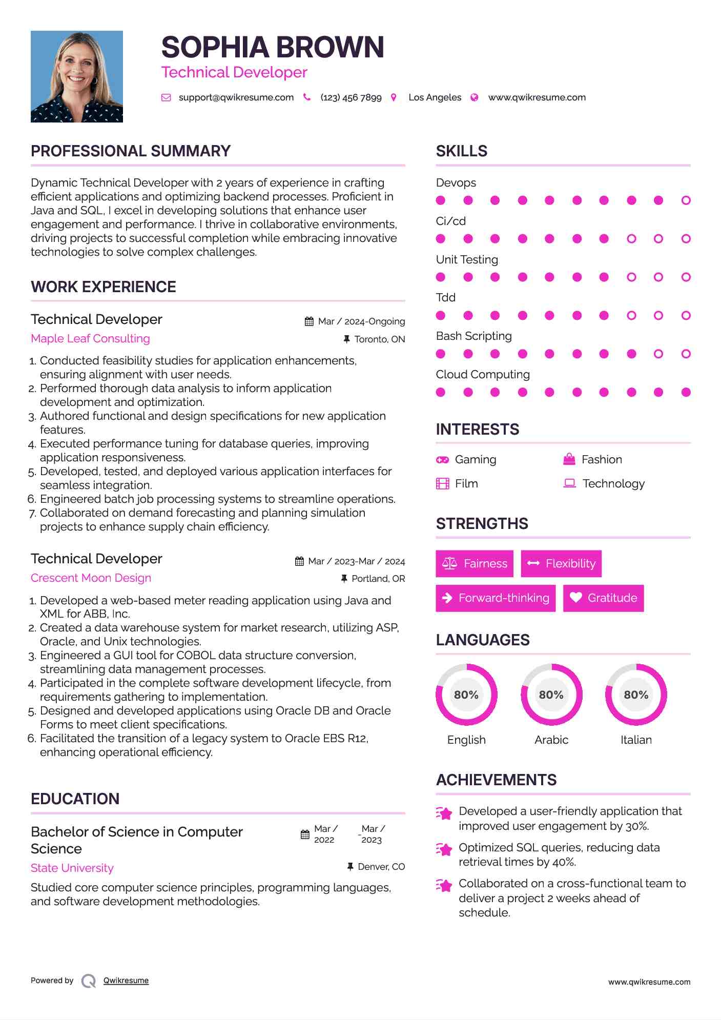 Technical Developer Resume Template