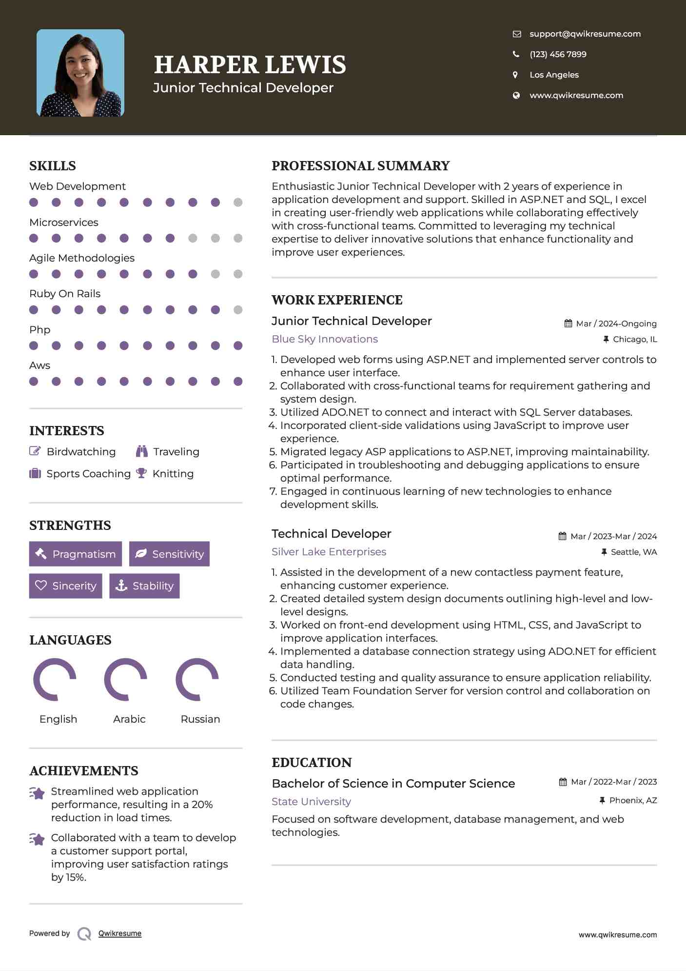 Junior Technical Developer Resume Model