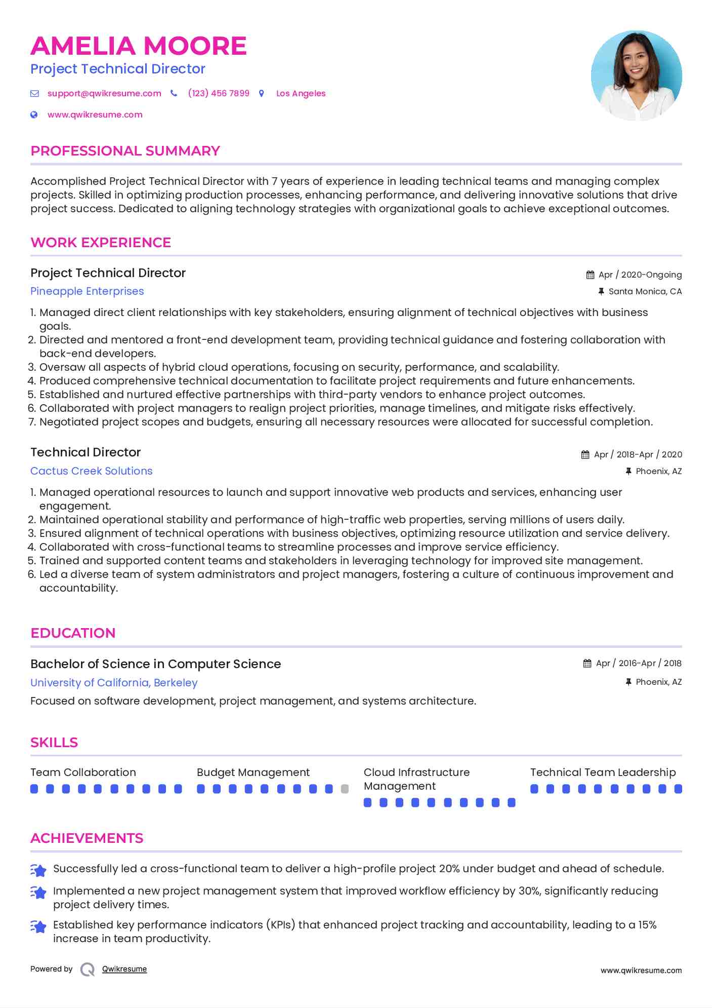 Project Technical Director Resume Format