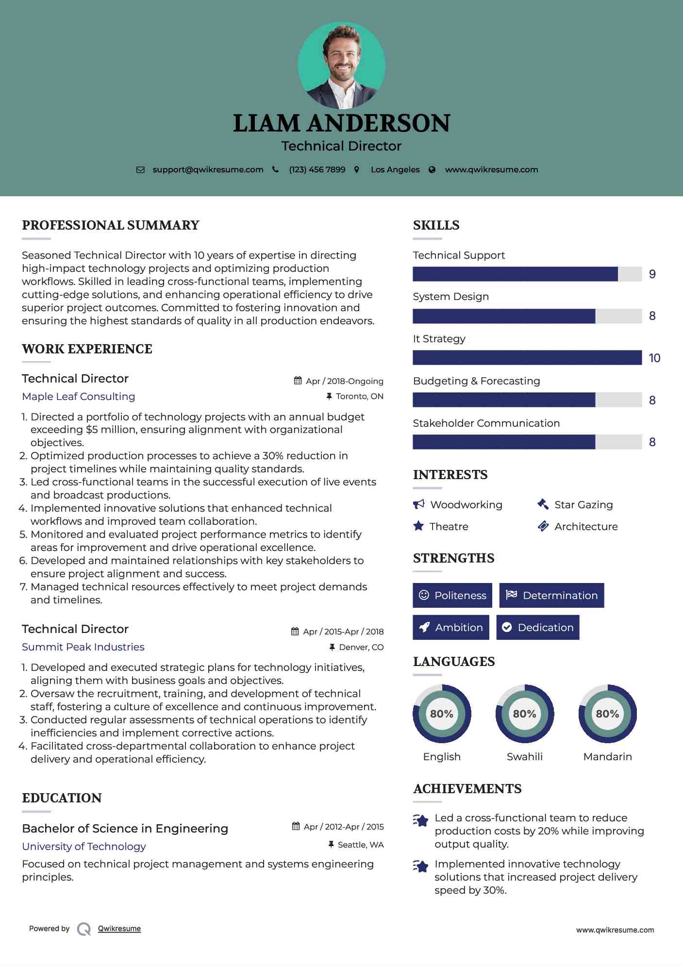 Technical Director Resume Format
