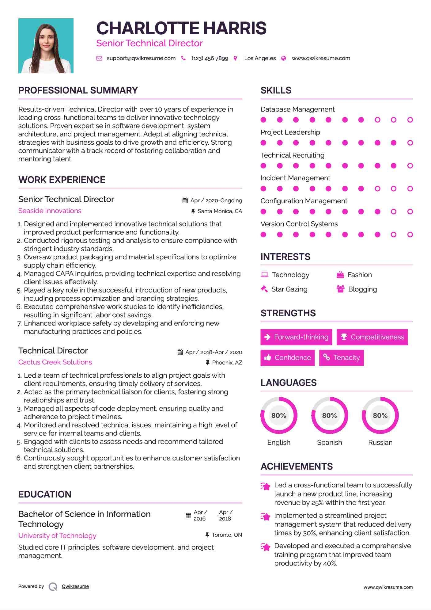 Senior Technical Director Resume Model